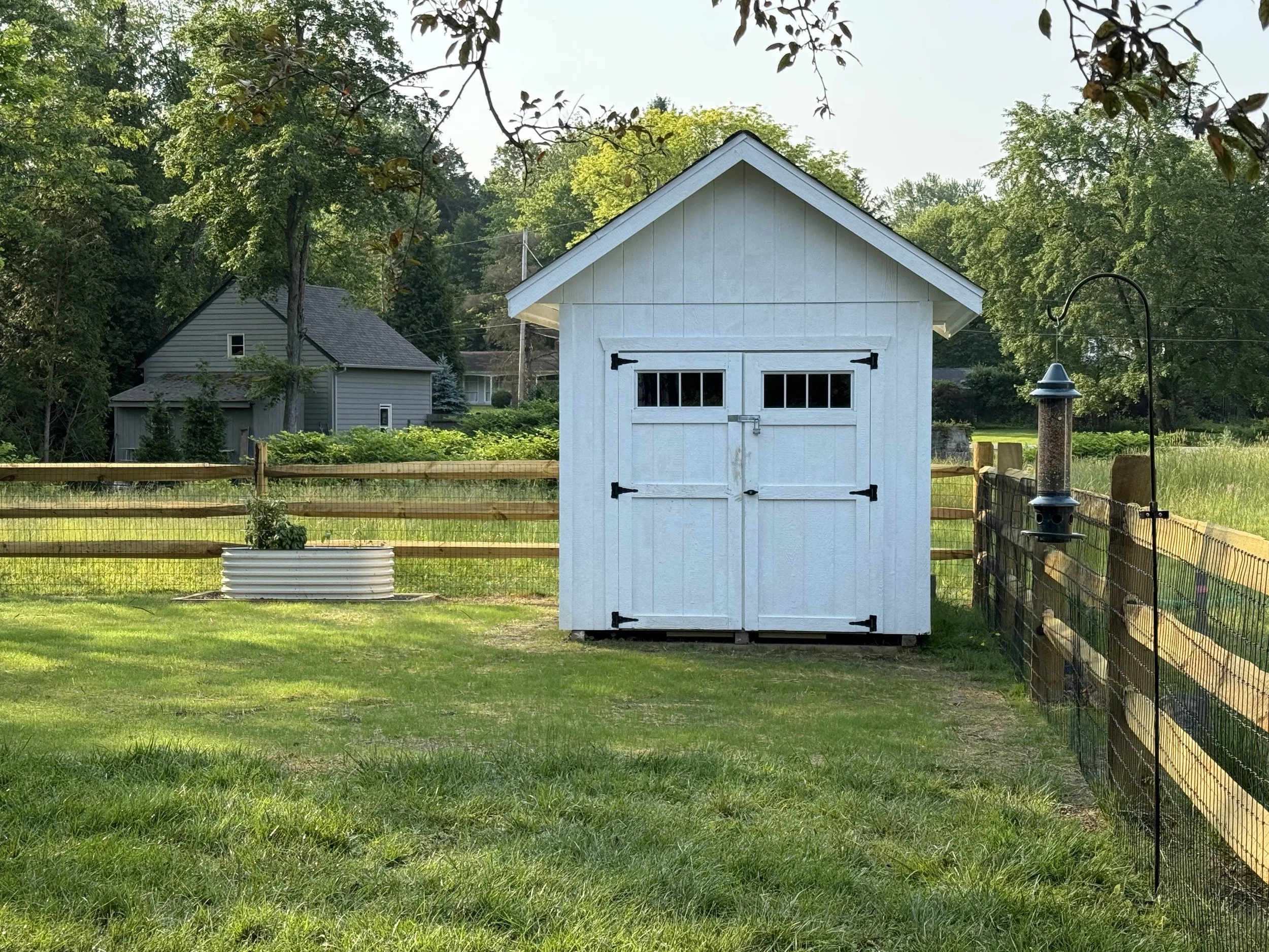 Hemlock shed and birdfeeder.jpg