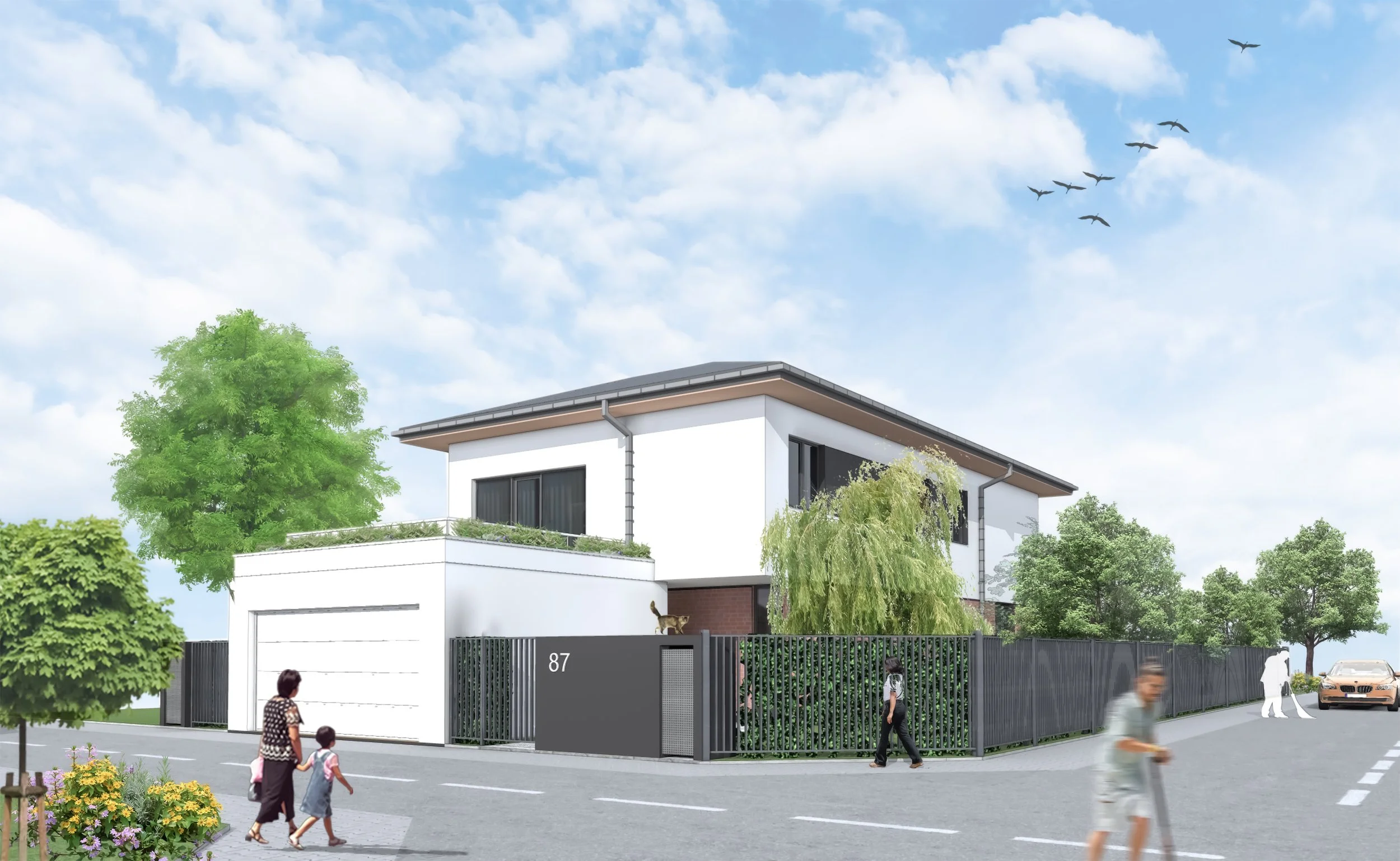 DP Individual House