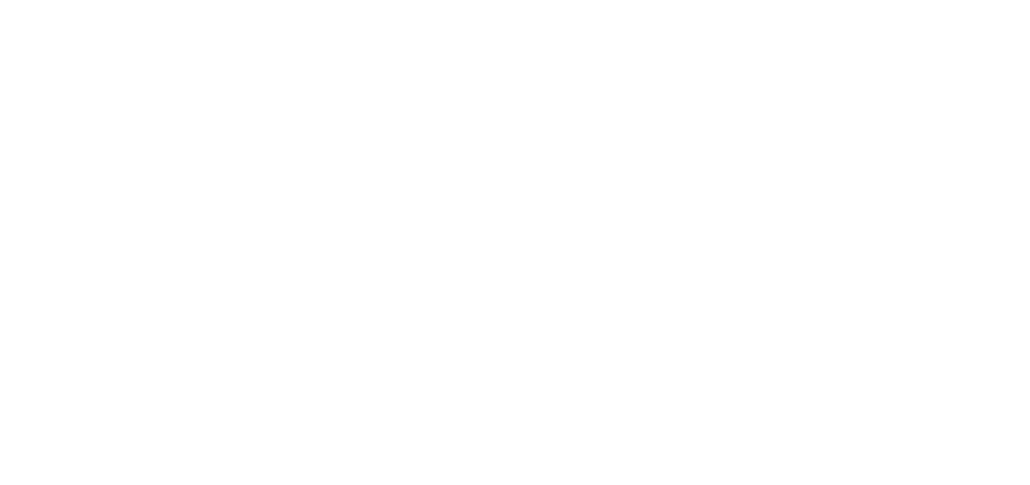FLINT