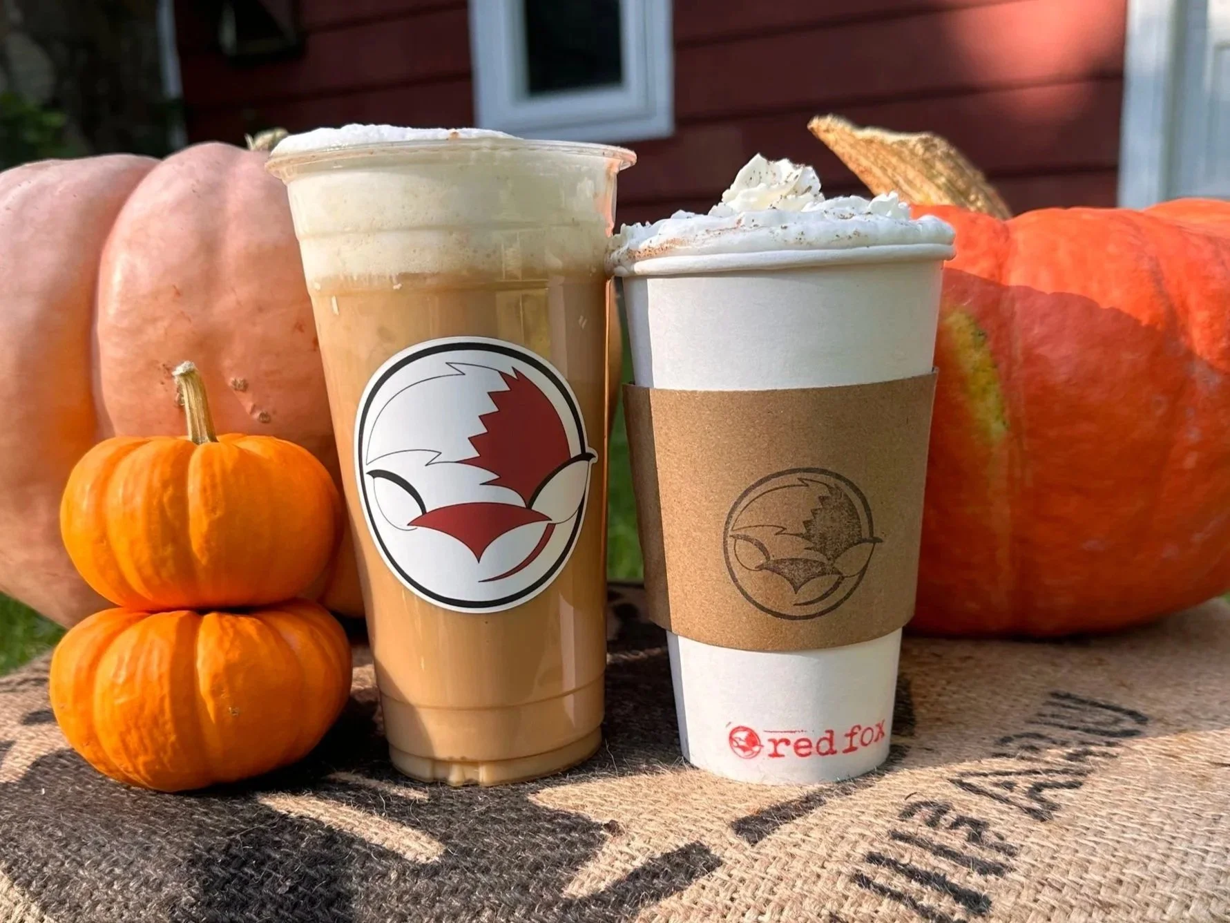 Seasonal: Pumpkin Spice Misto, Cold Brew, & Pumpkin Pie Chai