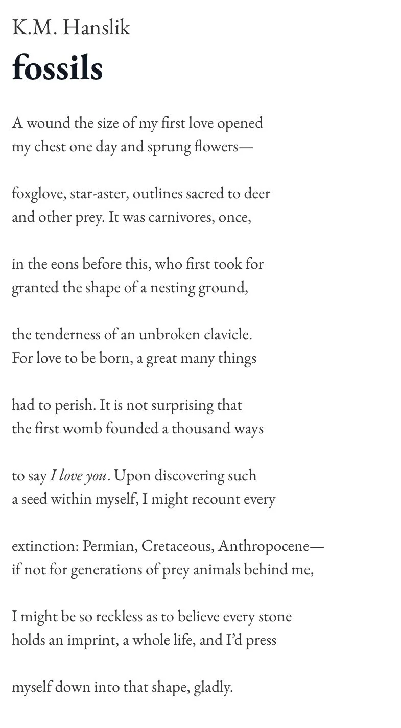 A photograph of a book page featuring a poem titled 'fossils' by K.M. Hanslik, with text in various fonts and sizes.