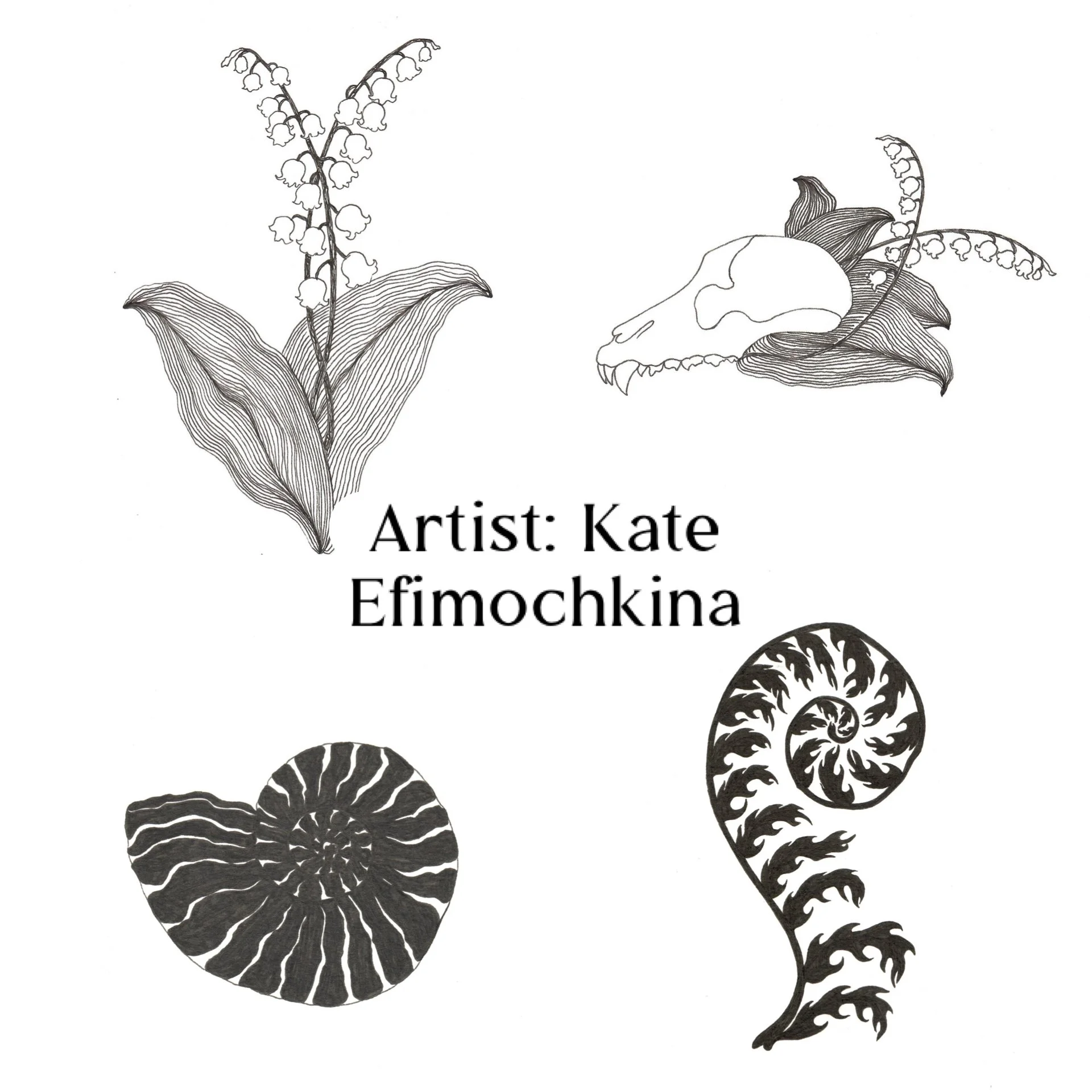 Black and white line drawing of a lily of the valley plant, a snail shell, and a plant with a skull illustration, with text indicating the artist's name, Kate Fimockin.