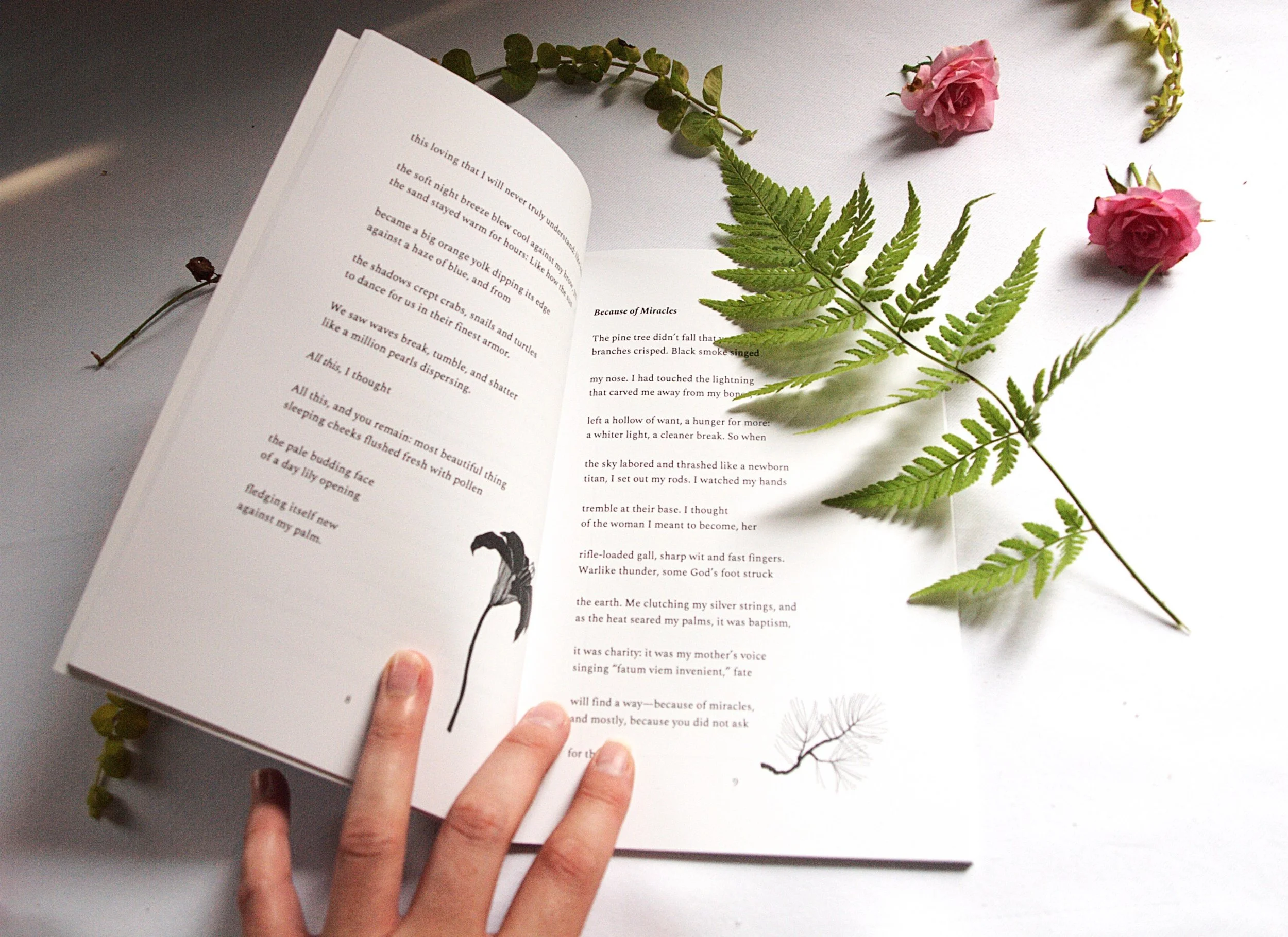 Open book with text and illustrations, accompanied by pink roses, green fern leaves, and decorative botanical elements on a white surface.