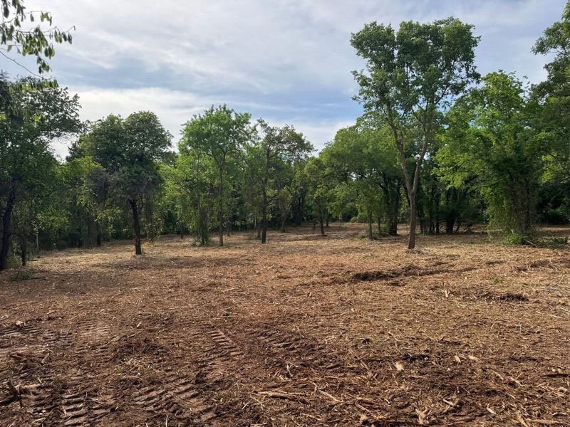 Cleared dirt land with tire tracks and scattered trees under a partly cloudy sky.