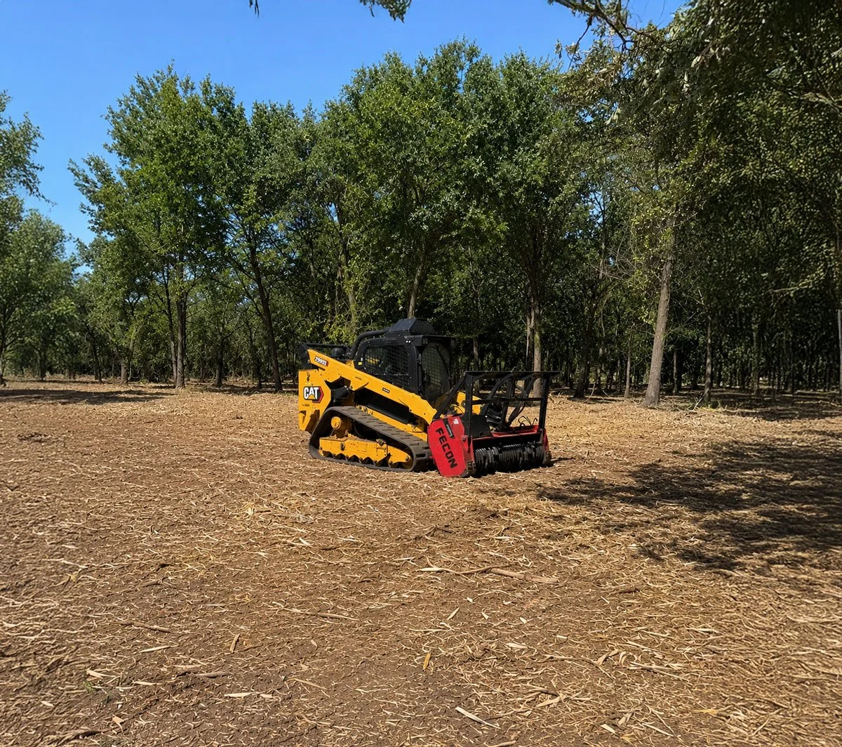A small Caterpillar bulldozer working on dirt ground in a cleared area of a forest with green trees and clear blue sky in the background.