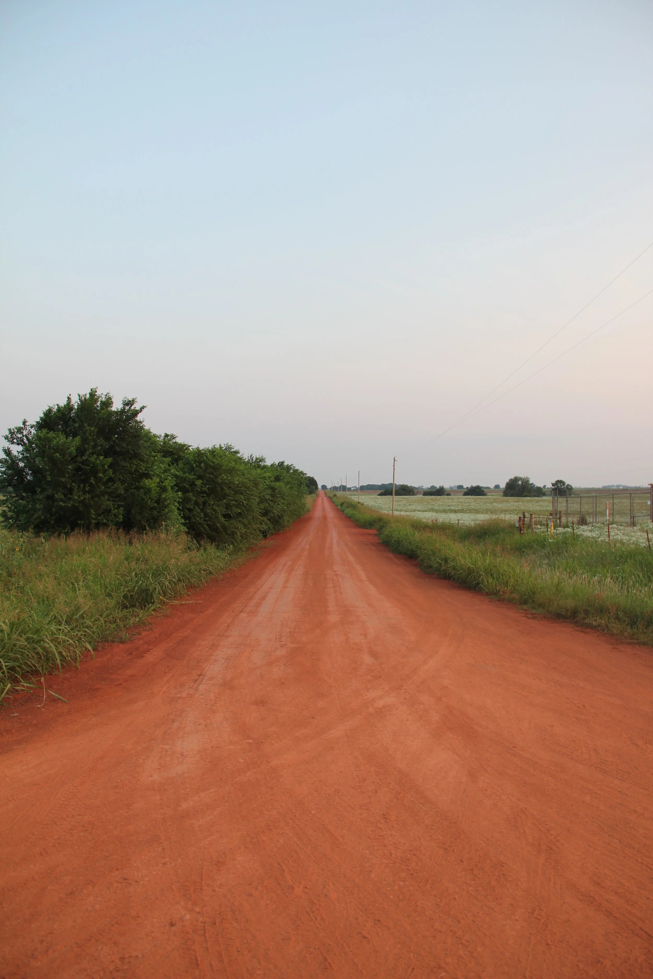 A straight, reddish dirt country road stretching into the distance with green trees on the left and open fields on the right, under a clear sky.