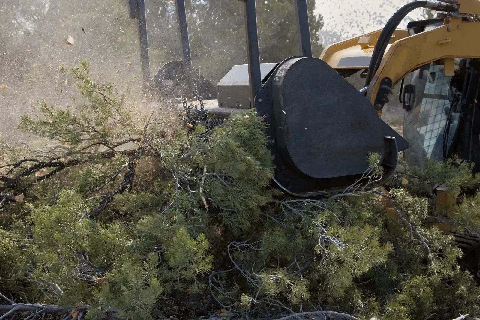 A large construction vehicle with a claw attachment grabbing a pile of tree branches and debris.