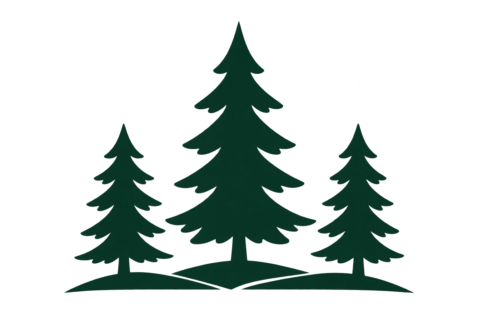 Illustration of a pine tree with a few smaller trees around it.