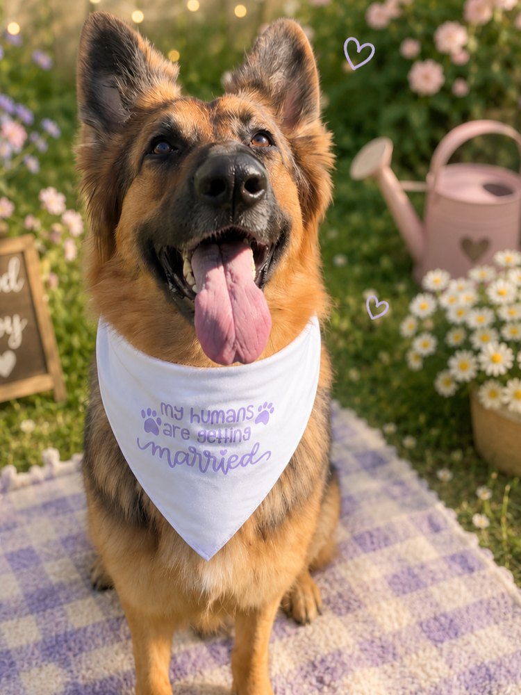 My Humans Are Getting Married- Dog Bandanna