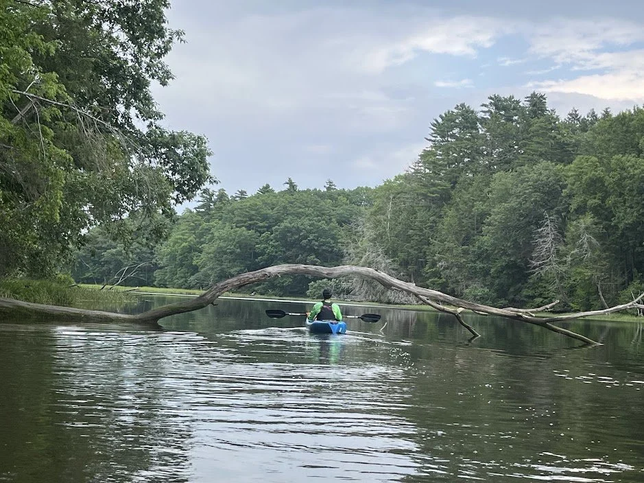 Introduction to Kayaking Clinic