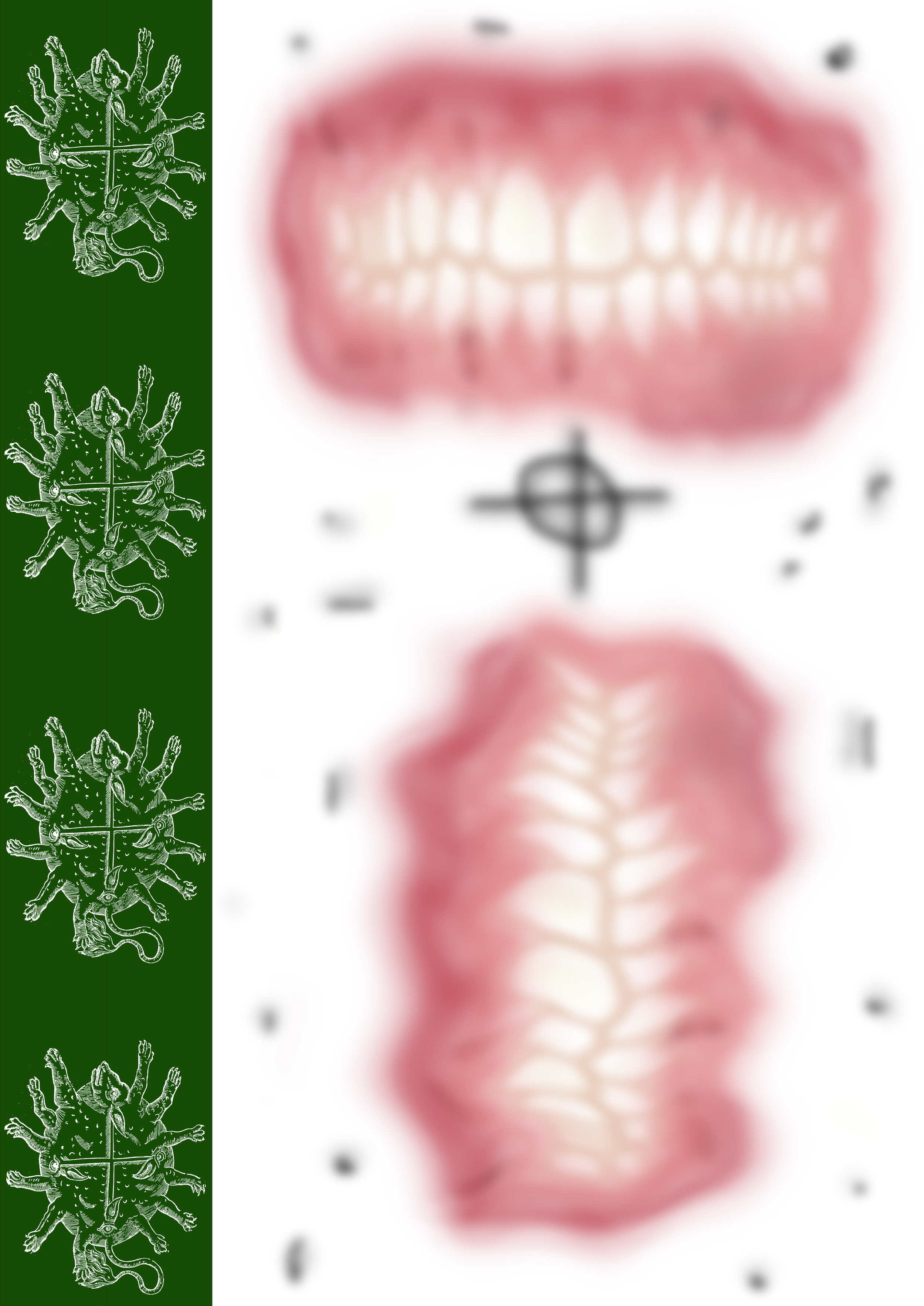 6.png