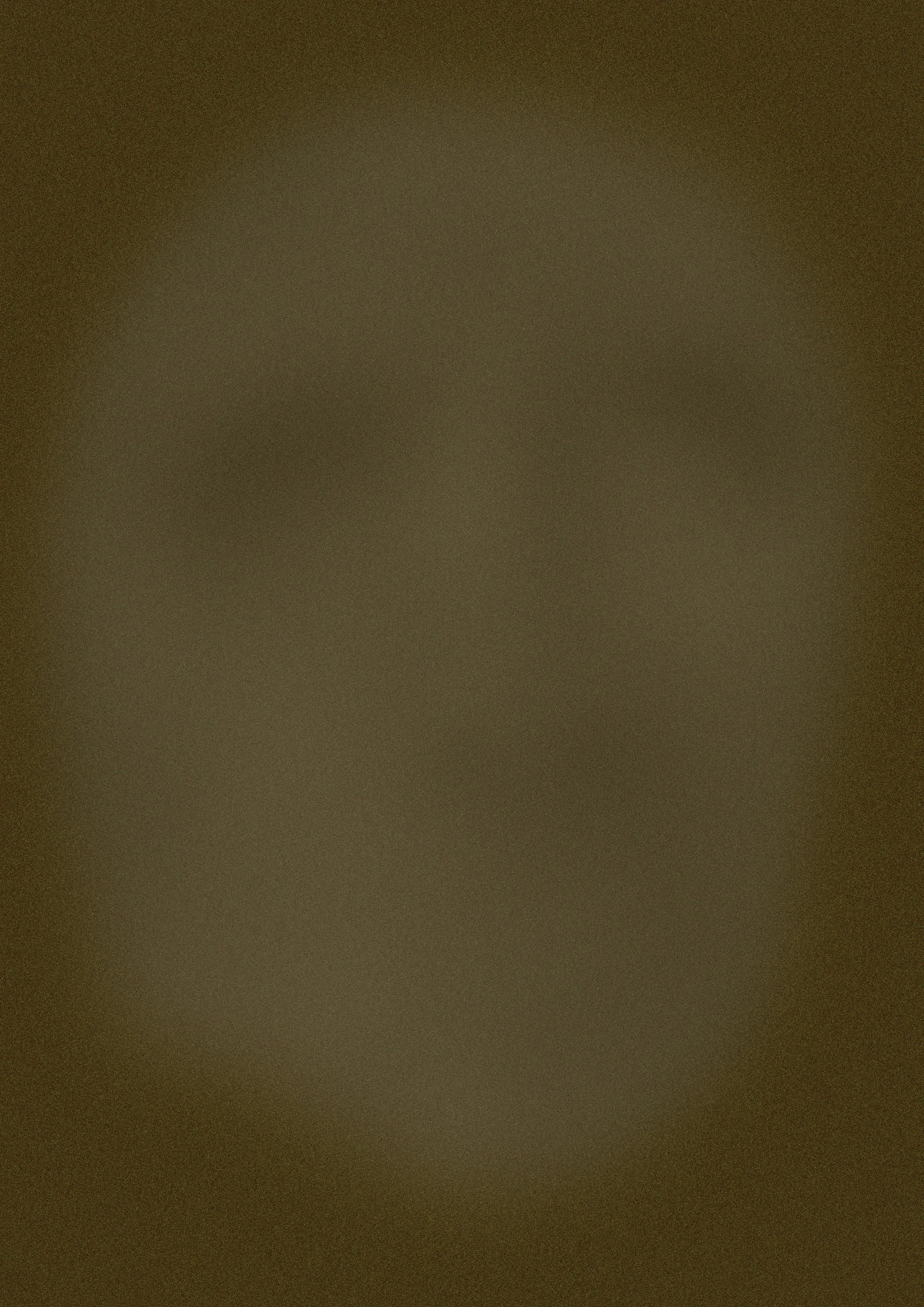 2c.jpg