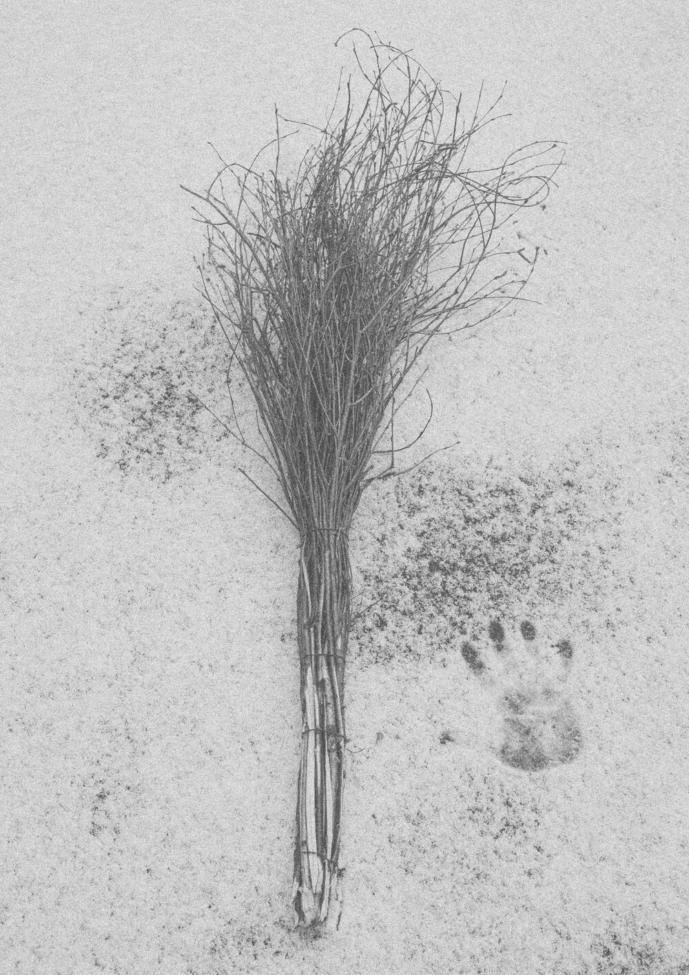 Final+Snow+Broom.jpg