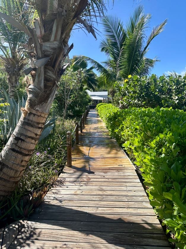 A wooden pathway surrounded by lush greenery and palm trees, leading to a house or building in the distance under a clear blue sky.