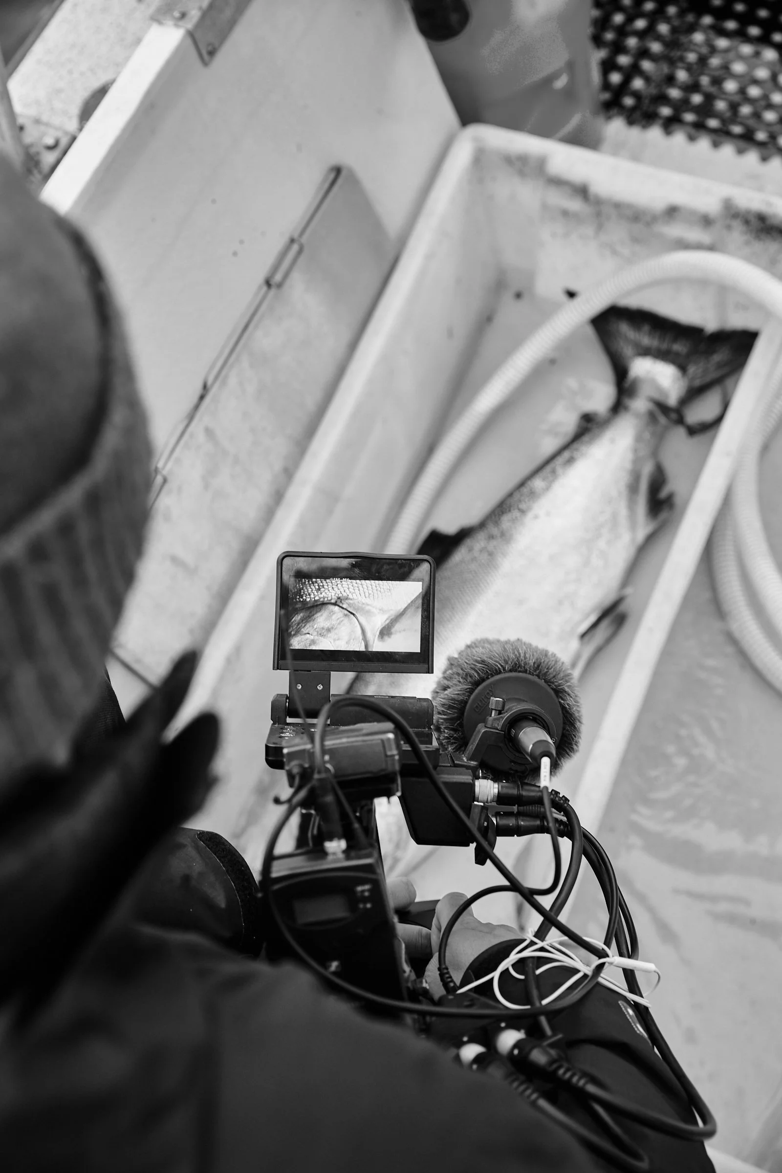 BTS_0133.jpg