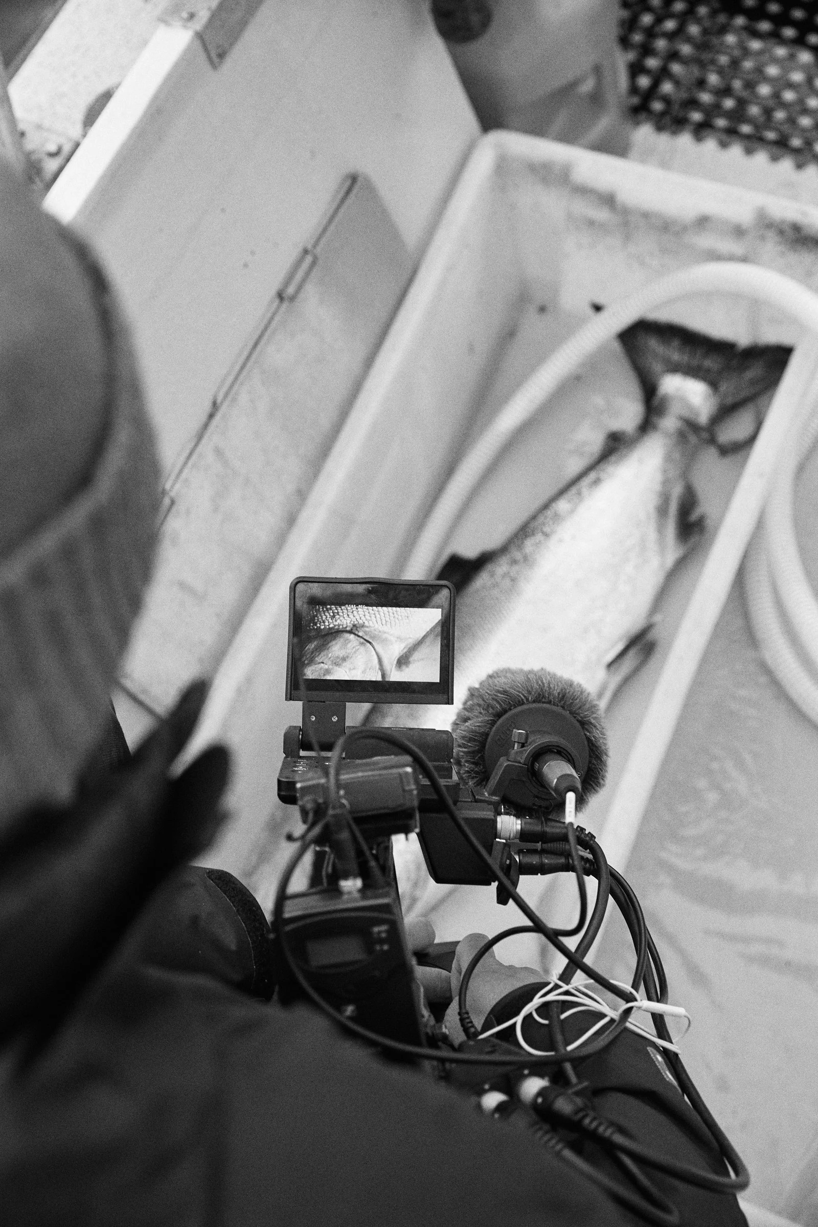 BTS_0201.jpg