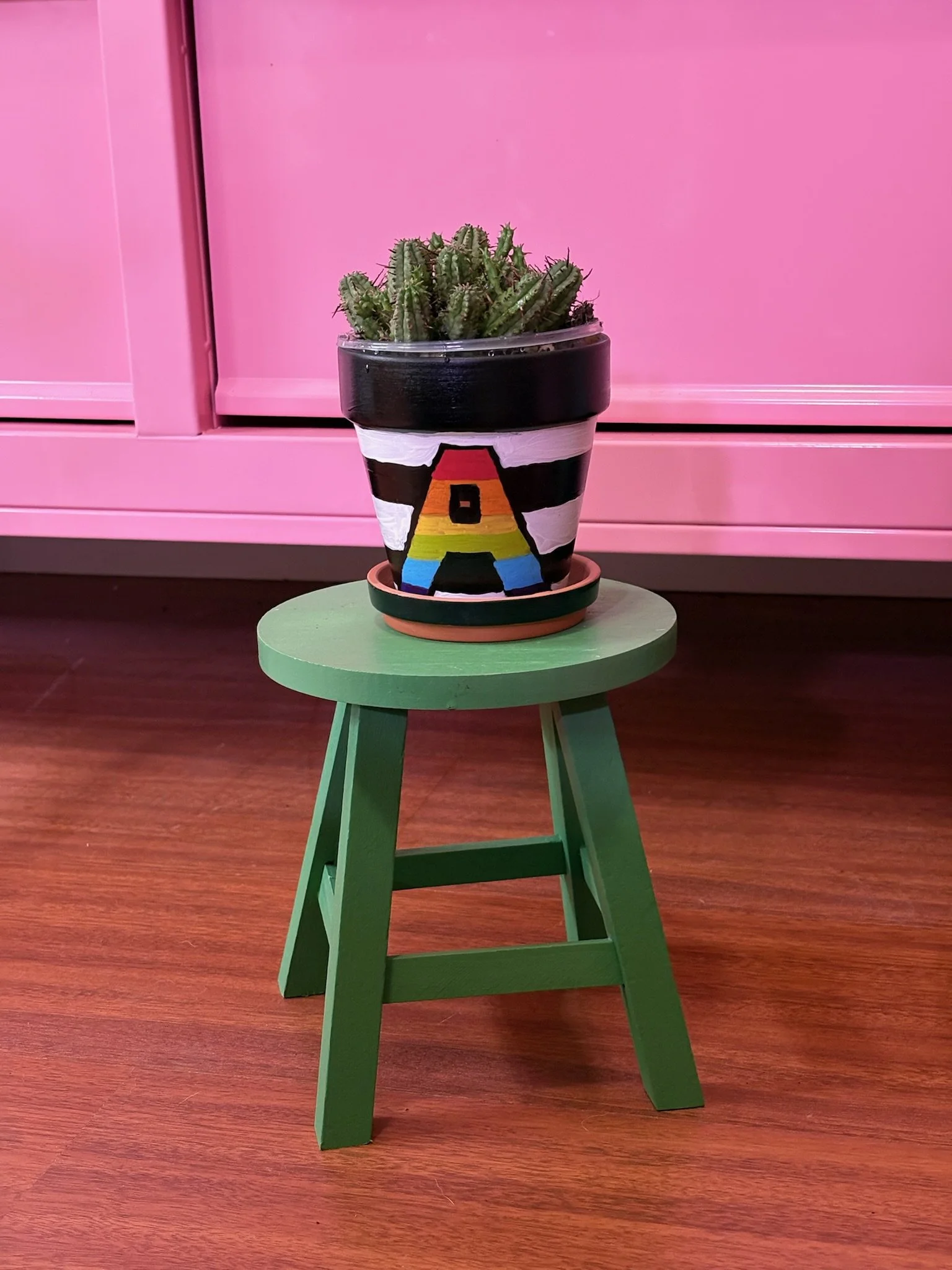 4 inch terracotta Ally Pride pot