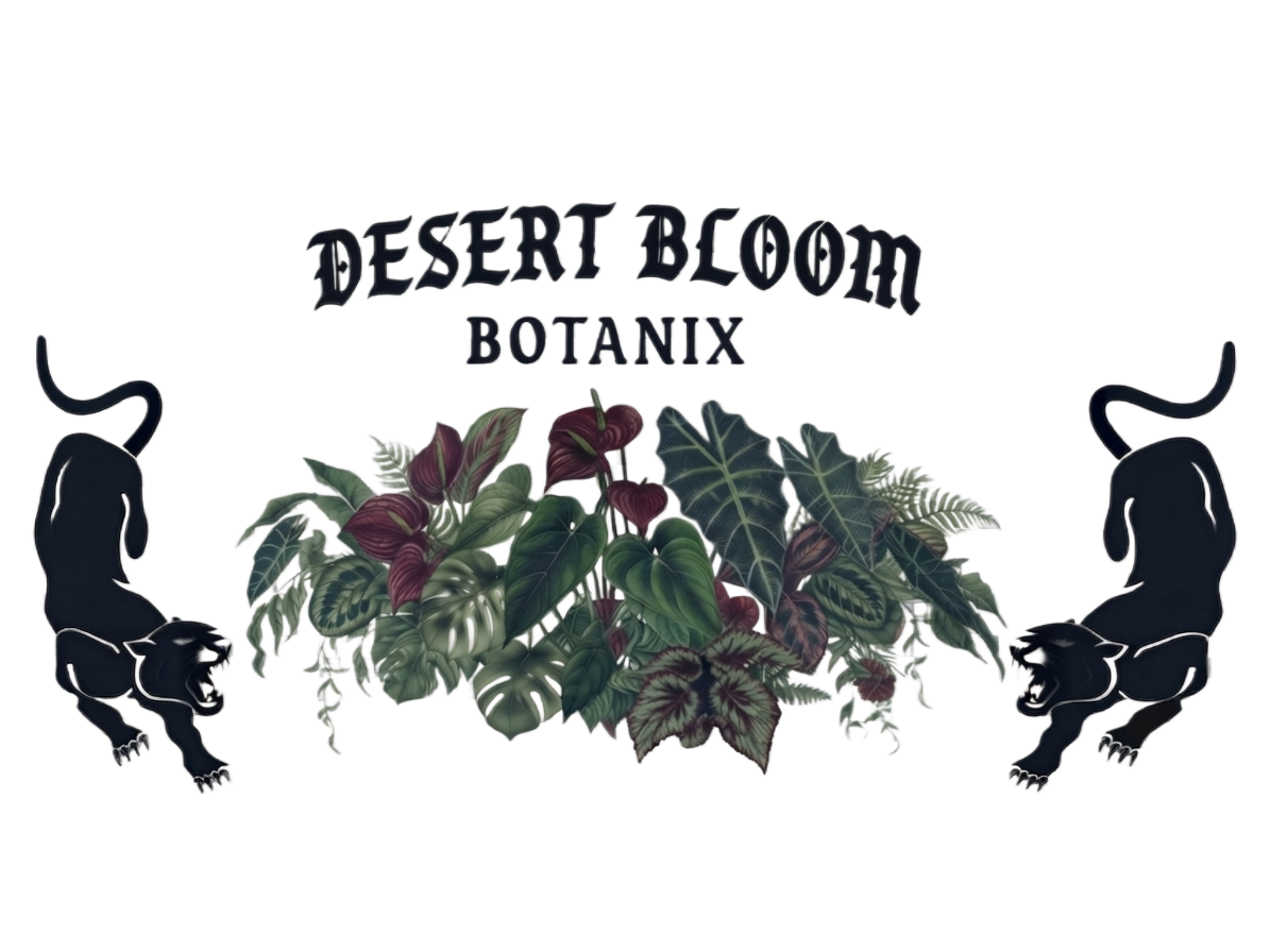 Desert Bloom Botanix