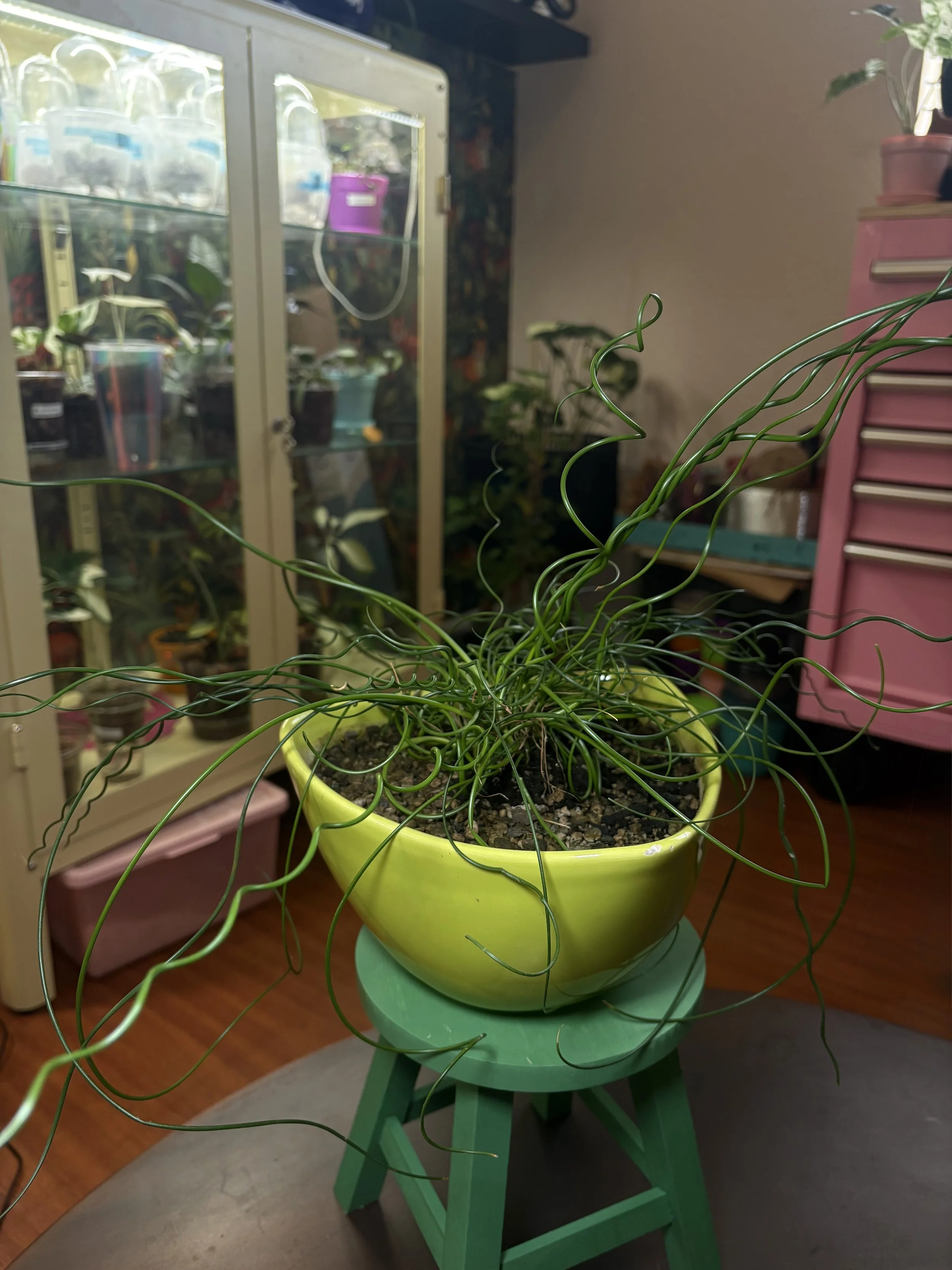 IMG_6102.jpeg