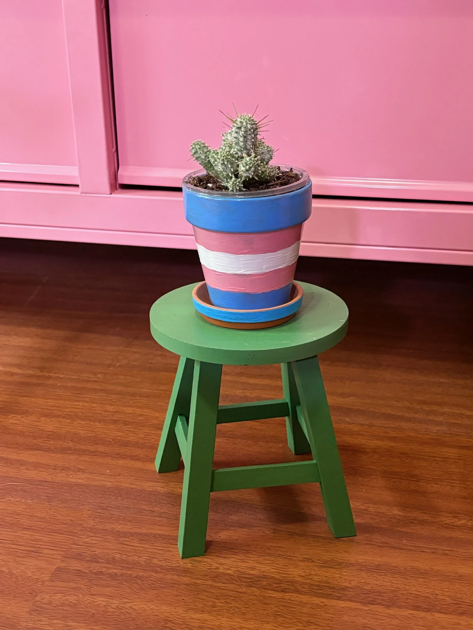 4 inch terracotta Trans Pride pot