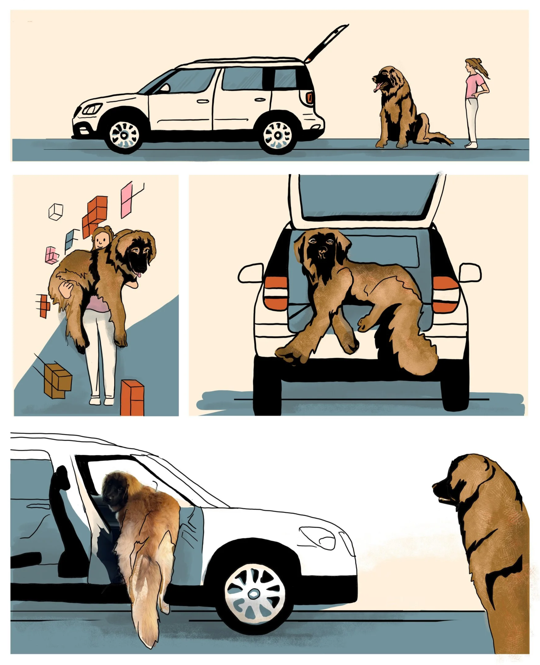 Getting a big dog in a skoda yeti