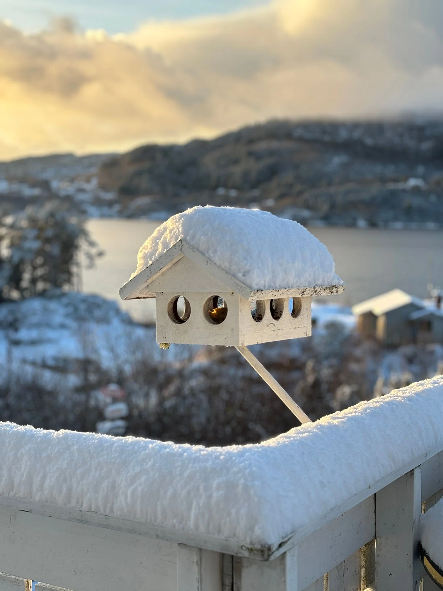 White birdhouse with snow on the roof in a winter landscape, with a Norwegian fjord, mountains, and clouds in the background.