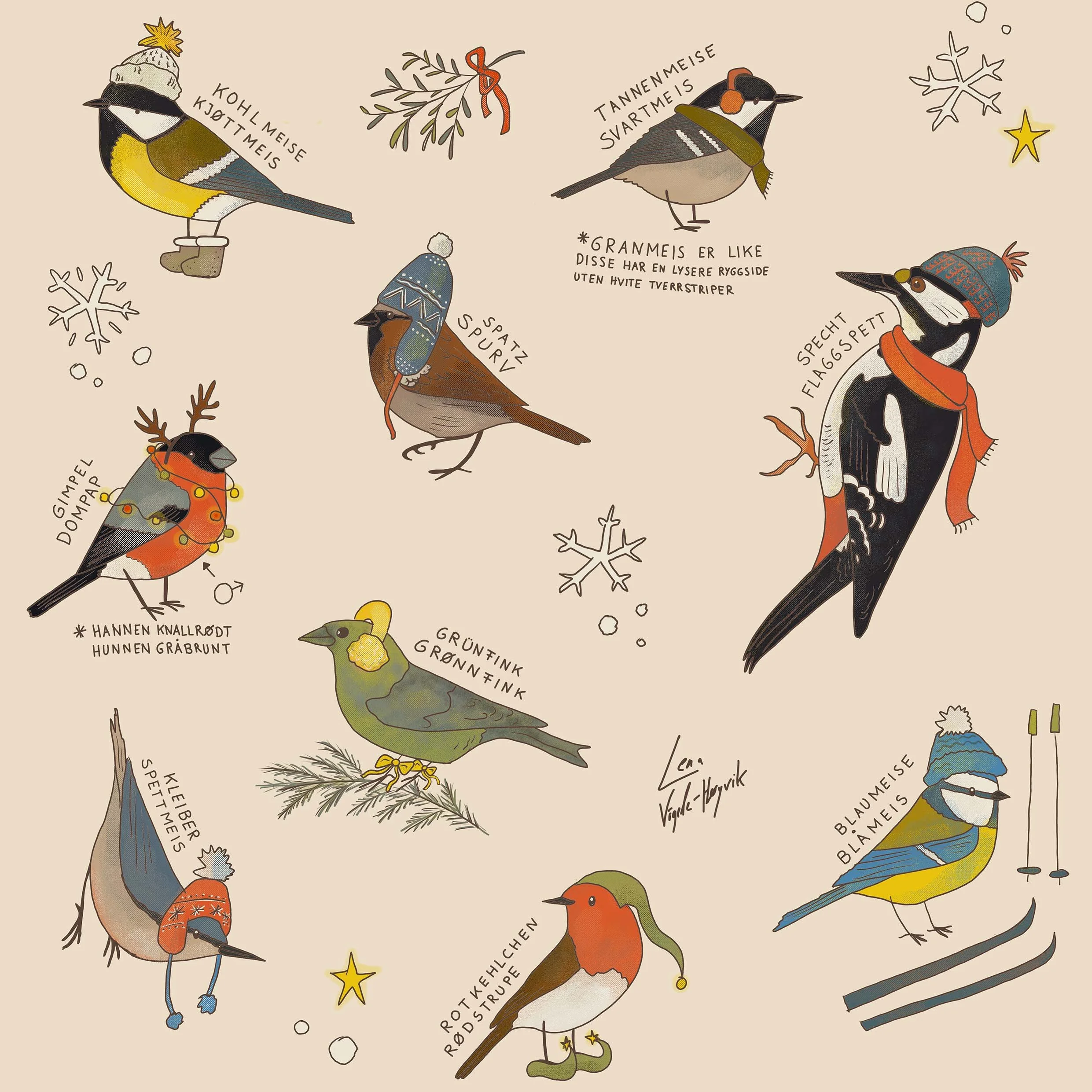 Repeating pattern of illustrated winter birds found in western Norway, with handwritten labels in Norwegian and German identifying each species.