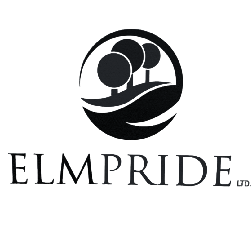 A black logo featuring a stylized globe with three circles and a swoosh, accompanied by the text 'ELMPride Inc.' in black.
