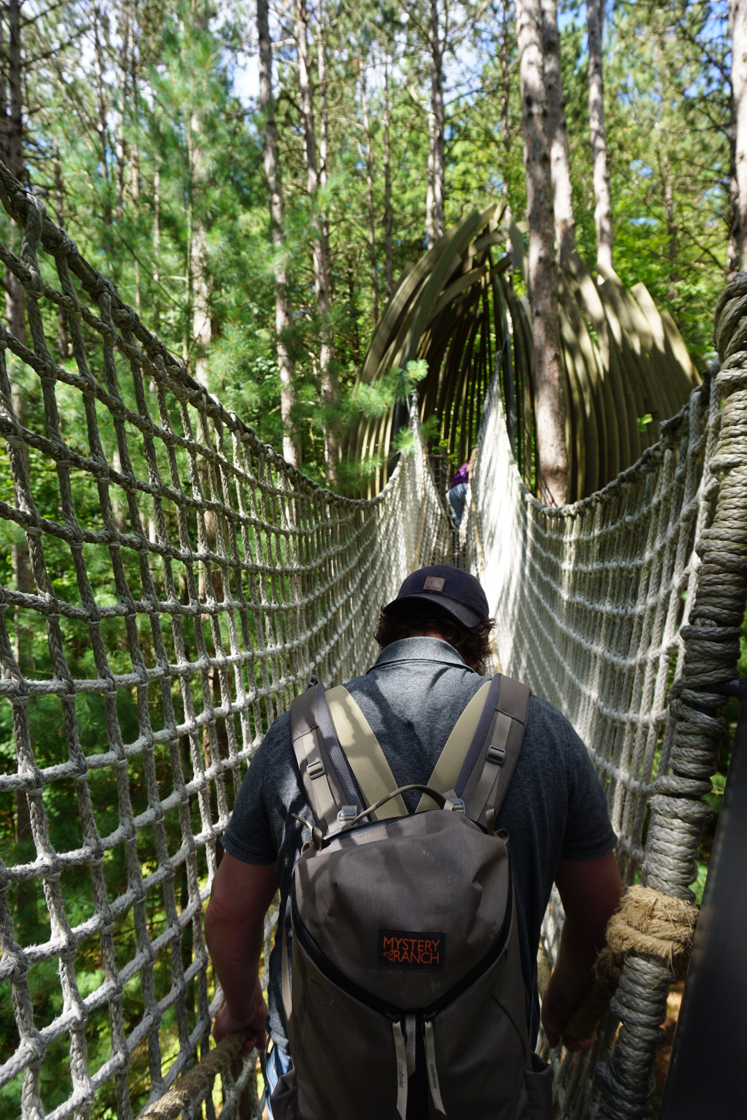 Person walking on a hanging rope bridge through a forest with tall trees and lush green foliage.