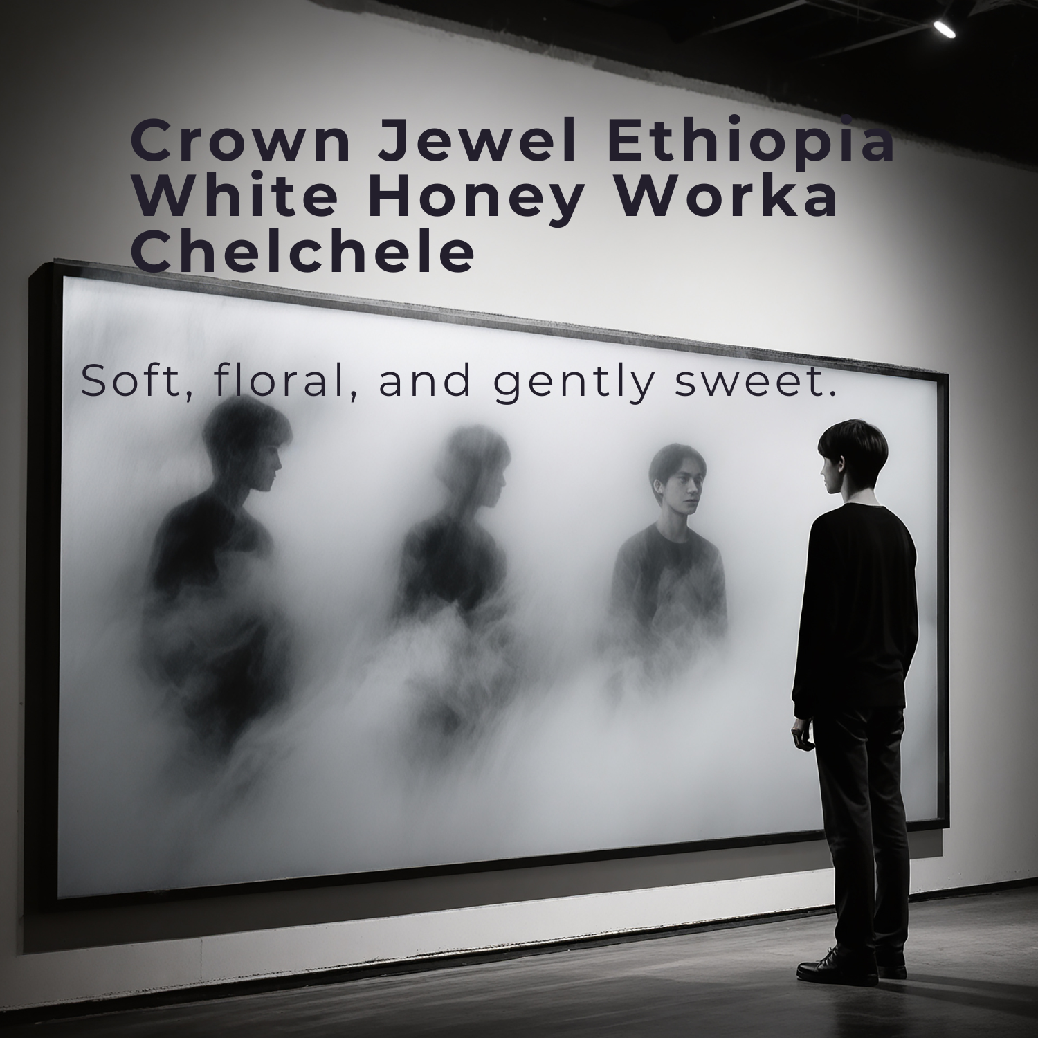 Youtube Mentioned Coffee (Limited Amount)- Ethiopia White Honey – Worka Chelchele