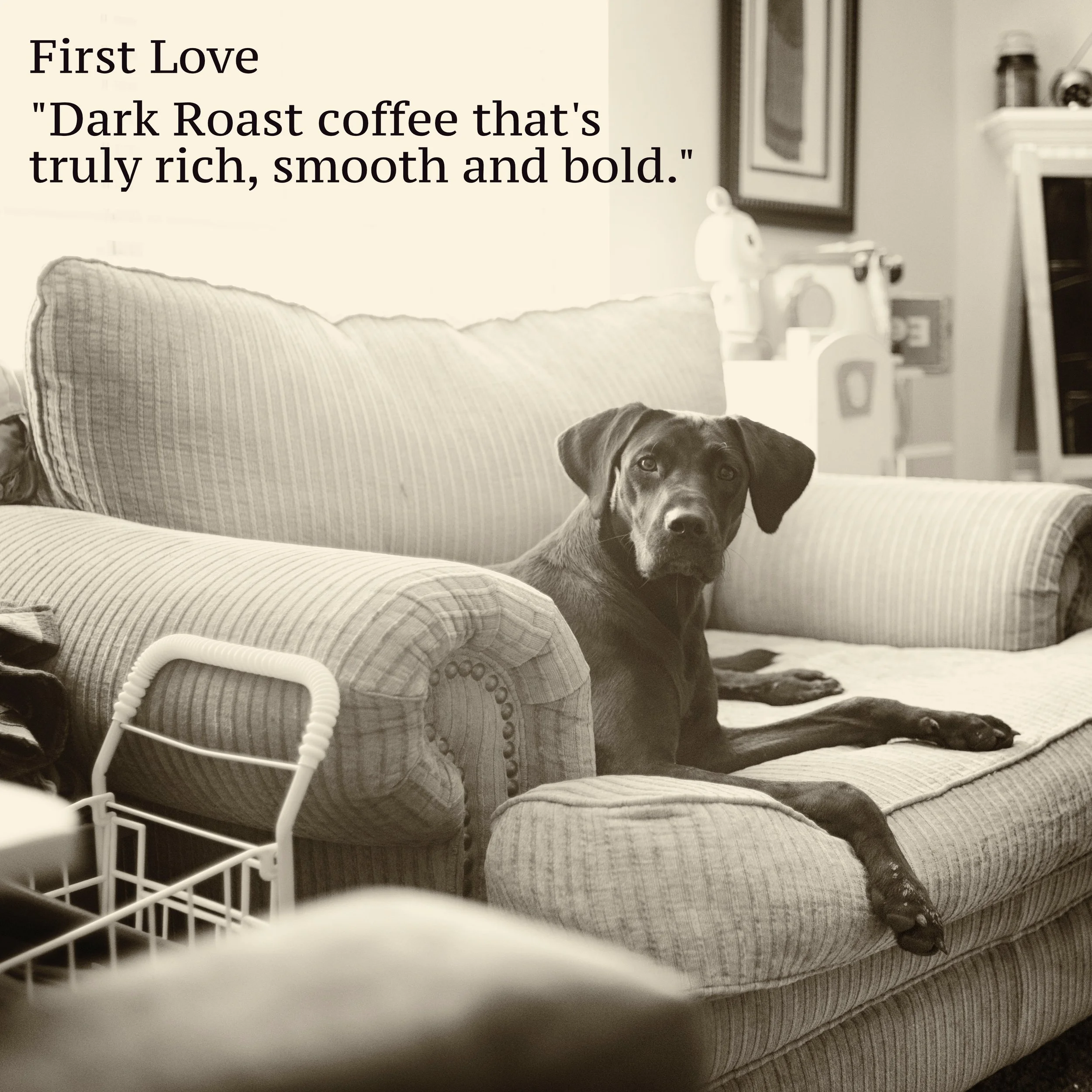 First Love - Premium Dark Roasted Coffee