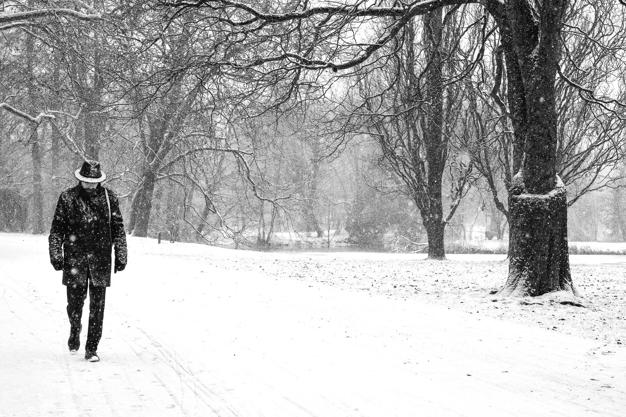 Une personne marche dans un parc enneigé, entourée d'arbres sans feuilles. La scène est en noir et blanc et il neige abondamment.