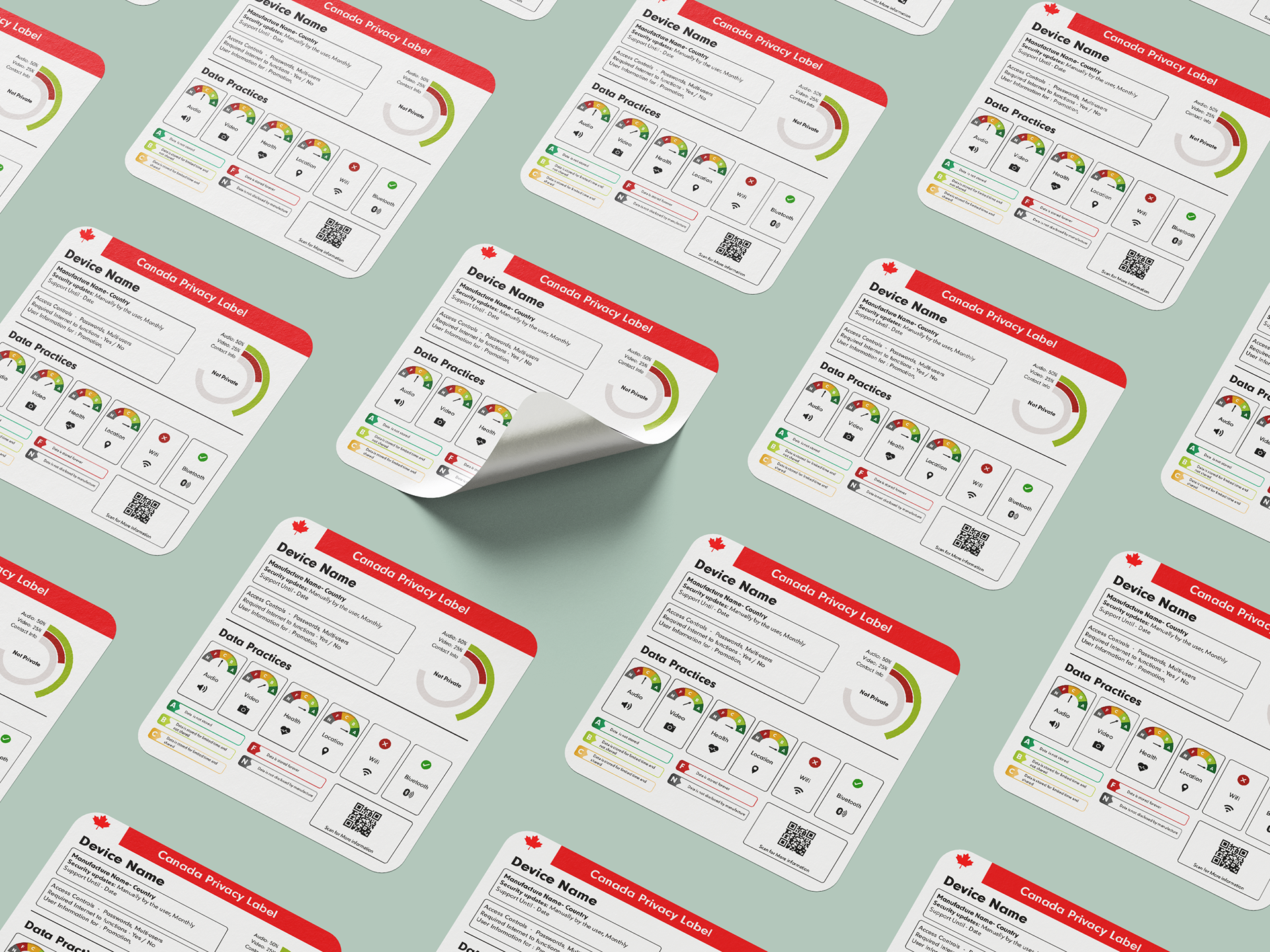 Canada Privacy Label Research and Design