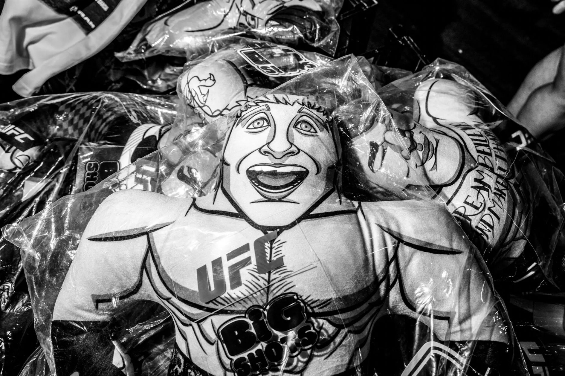 My Teenage Sons Love U.F.C. Here’s What We Saw at the White House Cage Match
(NY Times, June 2026)