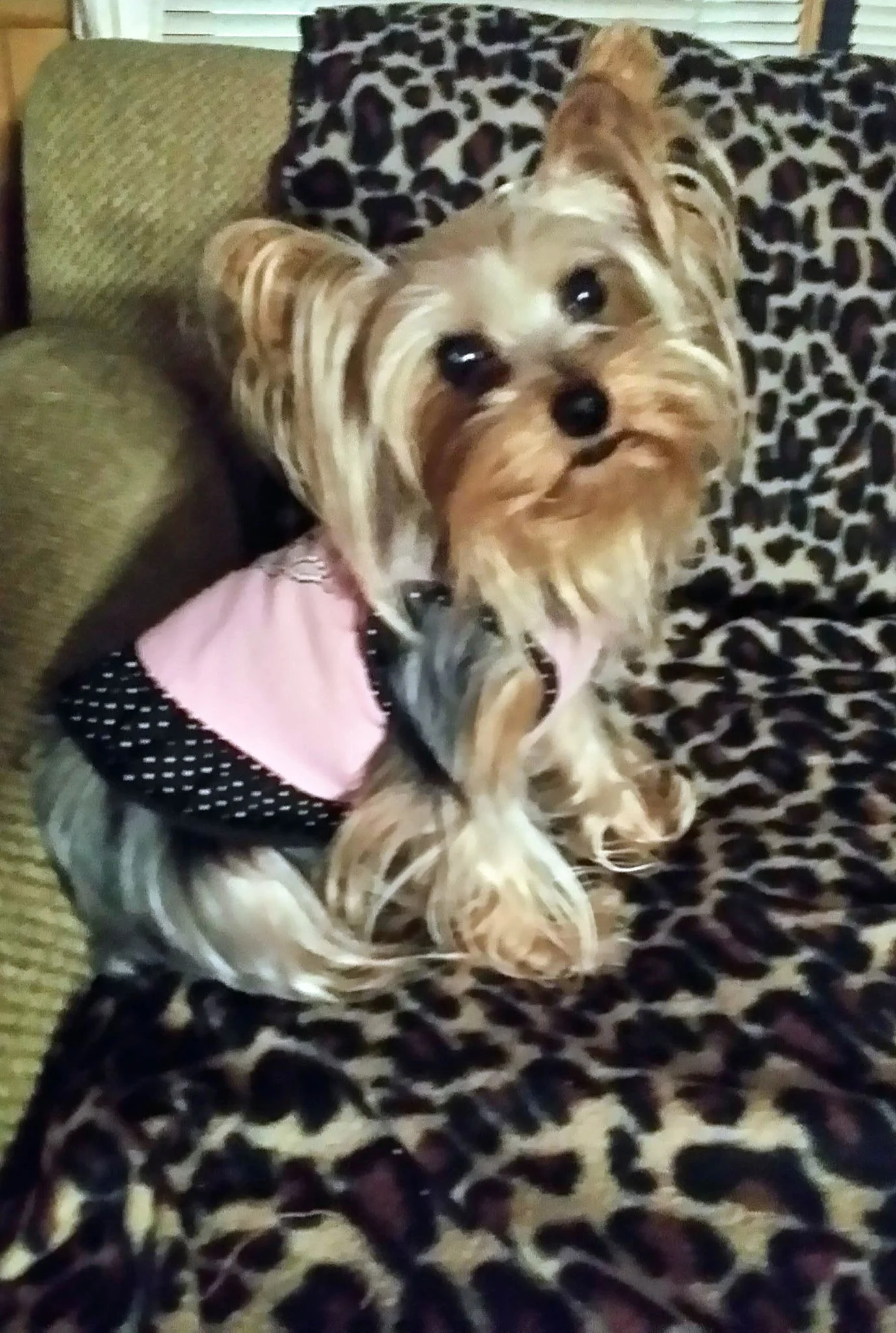 20180731_073133~3.jpeg