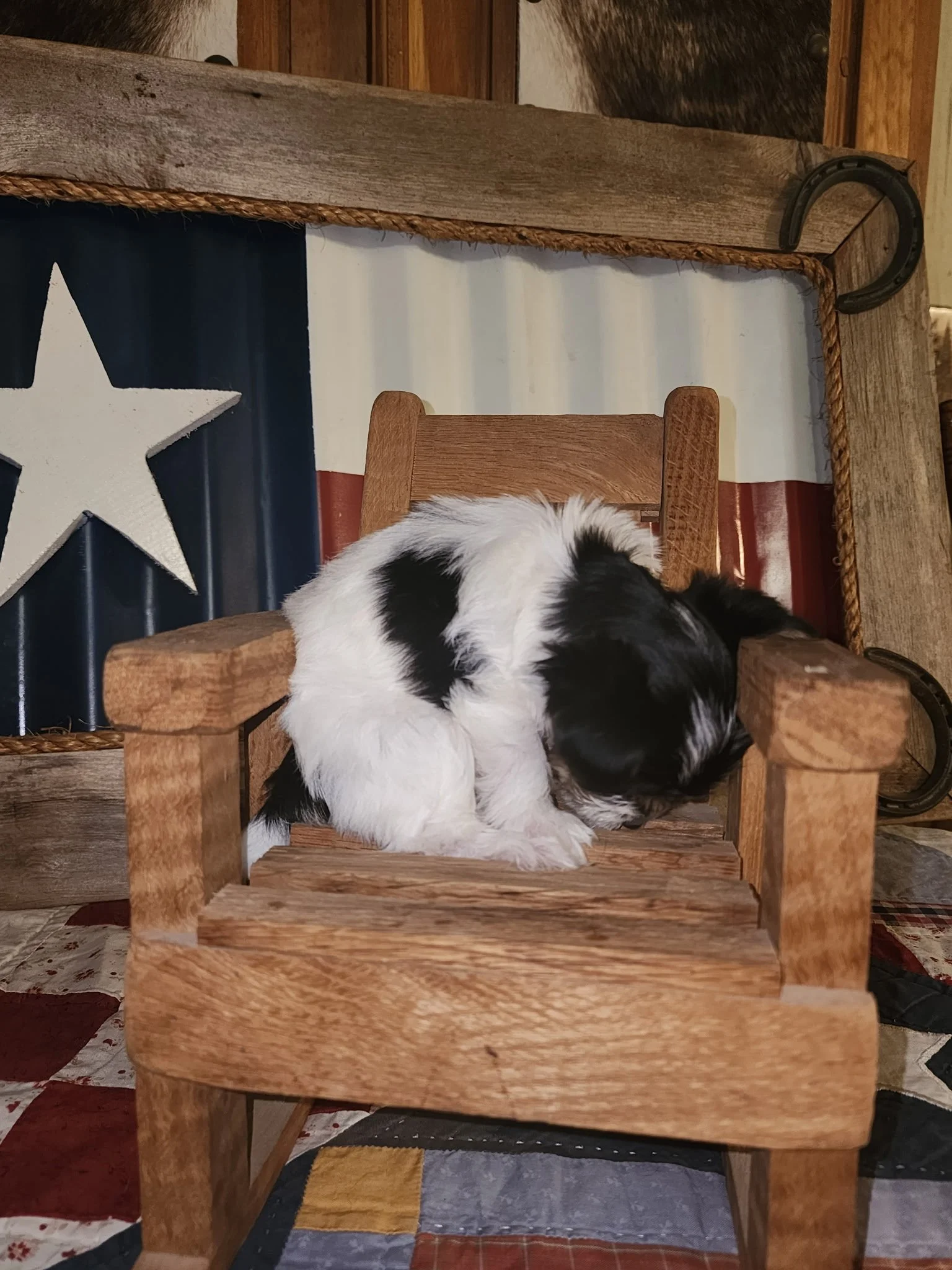 20260623_172221.jpeg