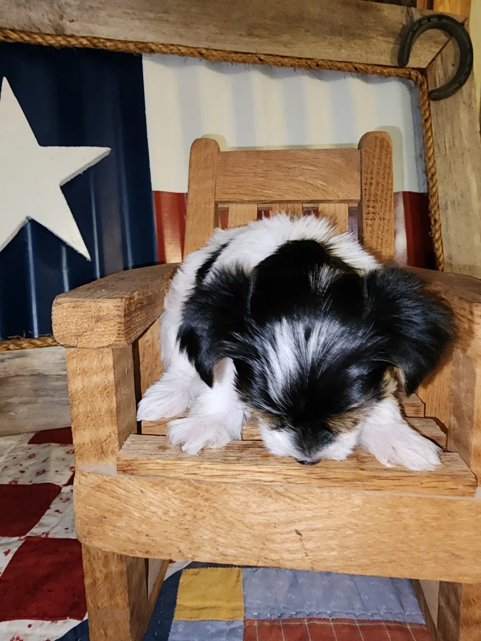 20260623_172157.jpeg