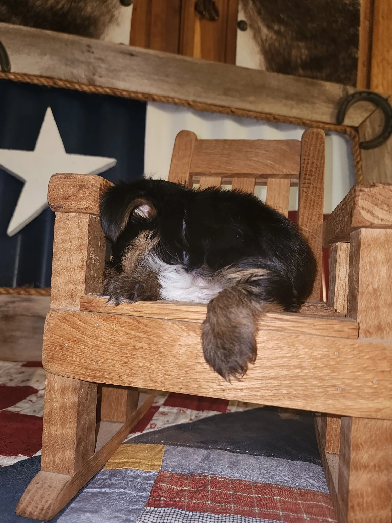 20260623_171335.jpeg
