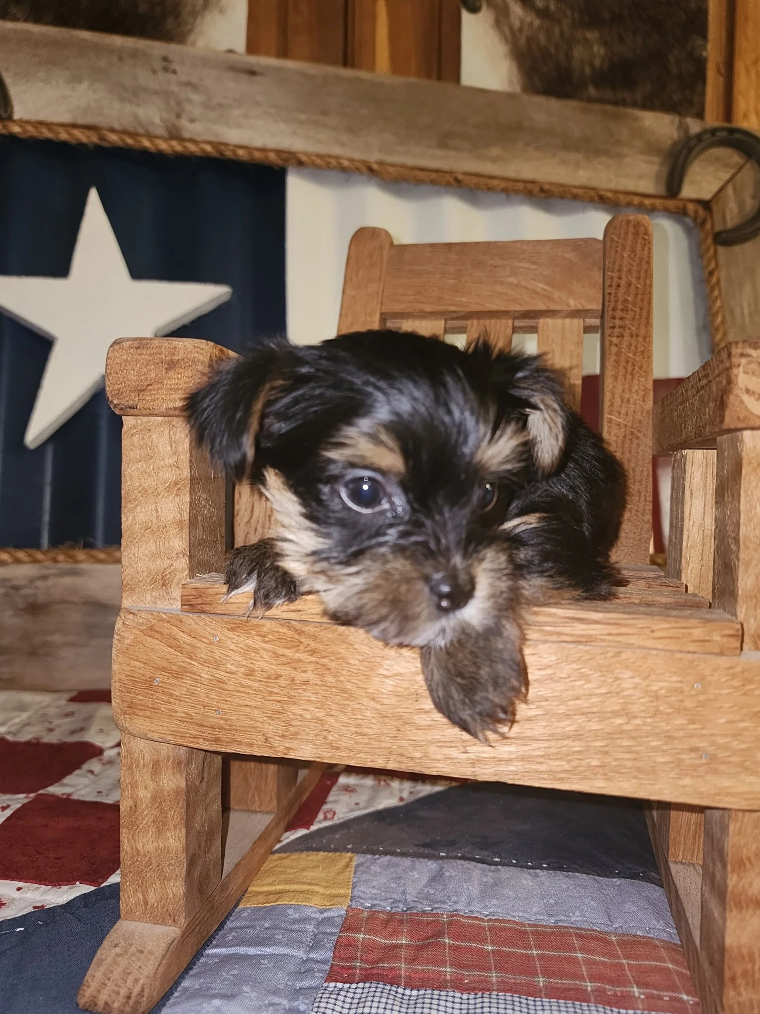 20260623_171337.jpeg
