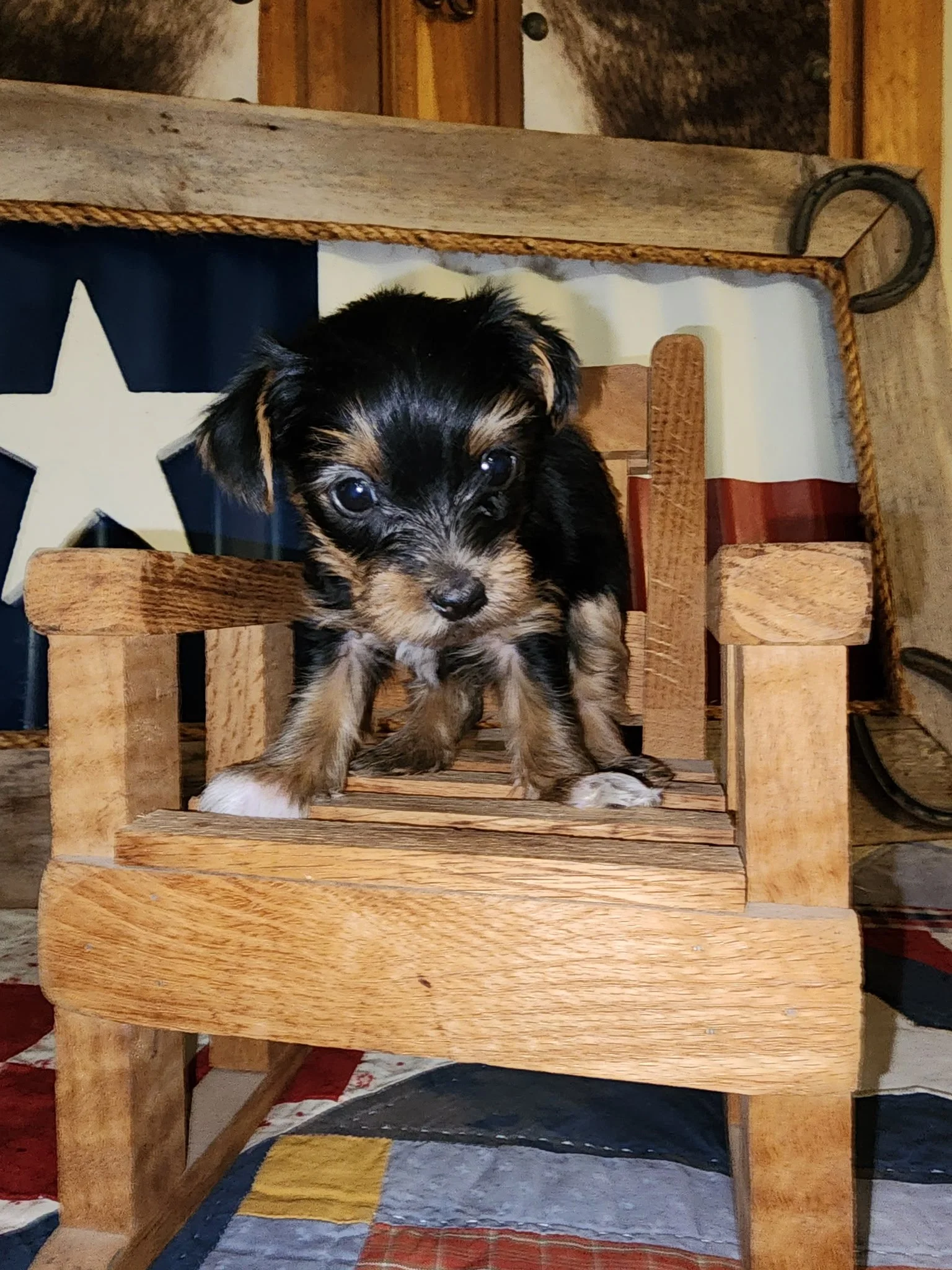 20260623_172431.jpeg