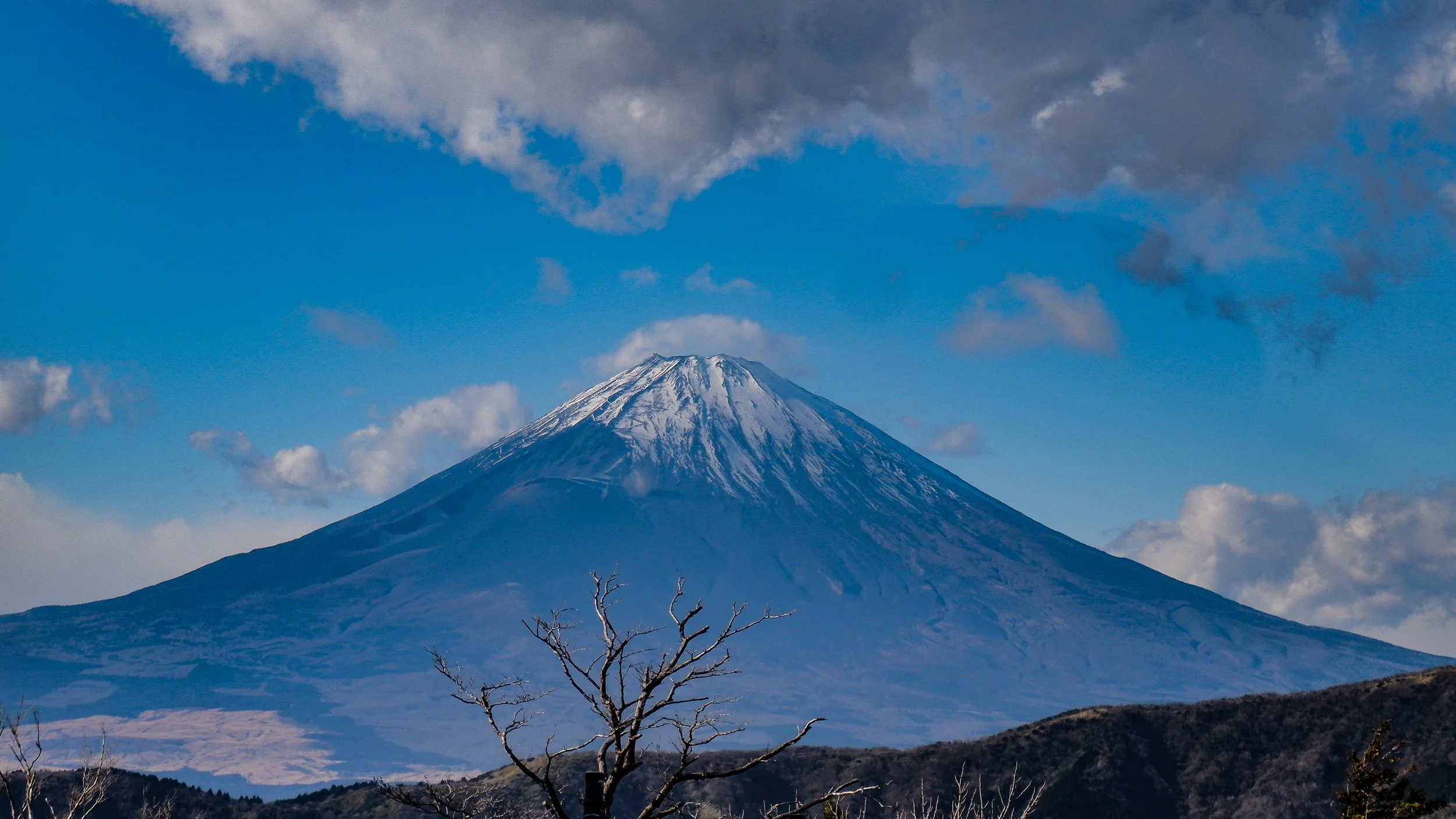 Common Japan Travel Mistakes to Avoid: Tips From a Year Living in Japan