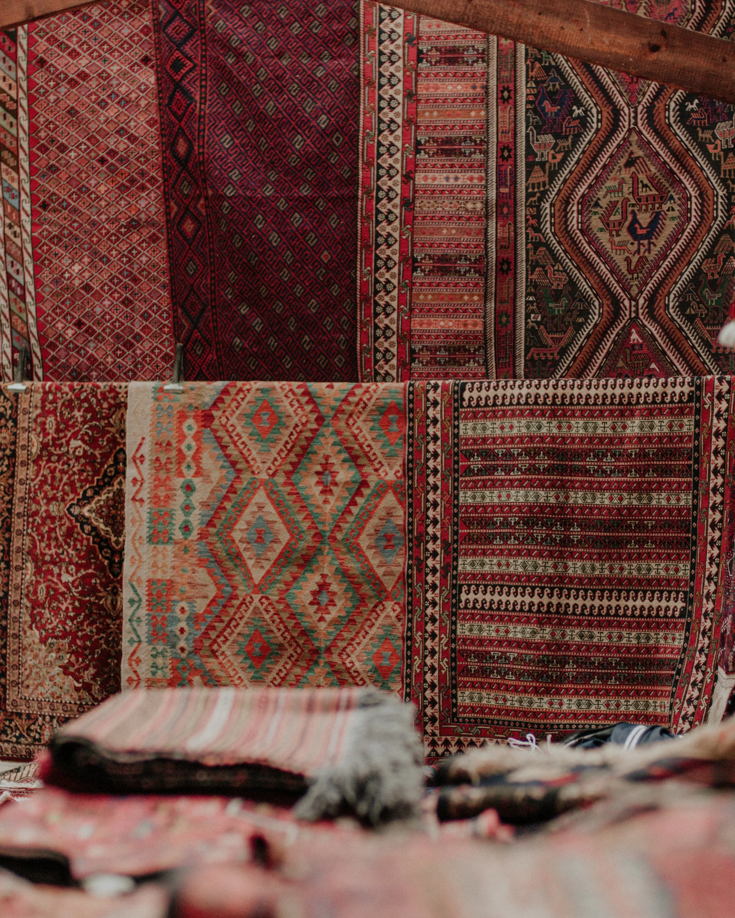 10 Best Rugs for a Cozy Living Room: Warm &amp; Stylish Ideas