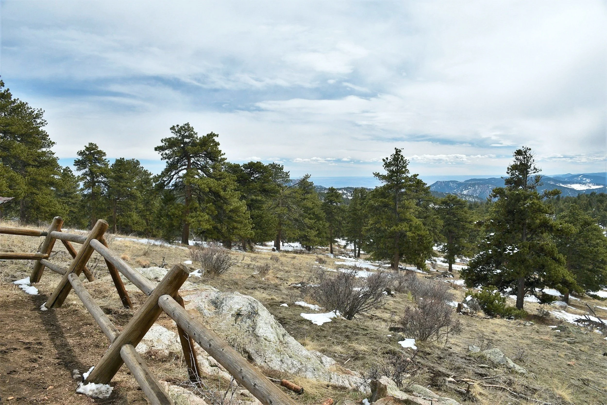 View of pine trees on a hillside with snow patches, rocks, and a distant mountain range under a cloudy sky.