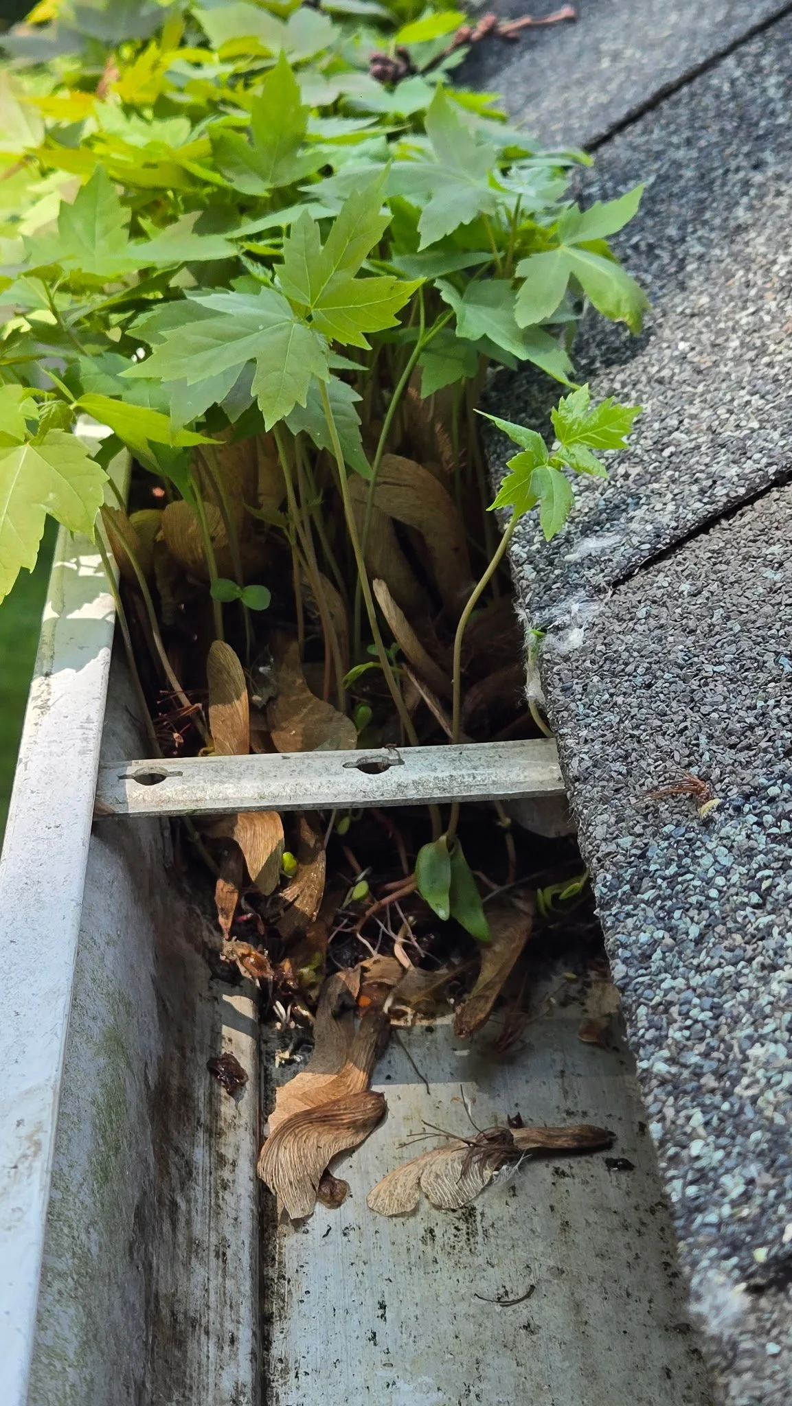 Clogged gutters can prevent proper drainage and cause gutter overflow putting your property at risk for water damage.
