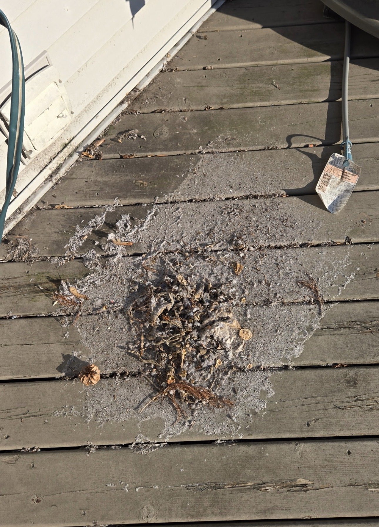 Dryer Vent Exhaust Risks in Fairplay, CO