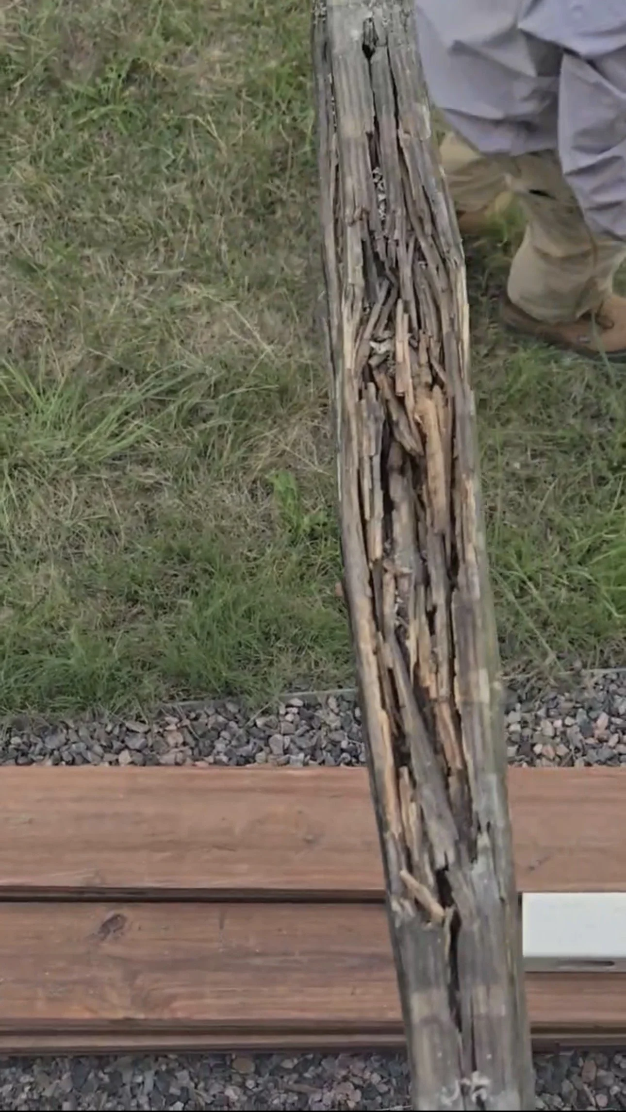 The Hidden Risks of Rotted Joists in Castle Pines, CO