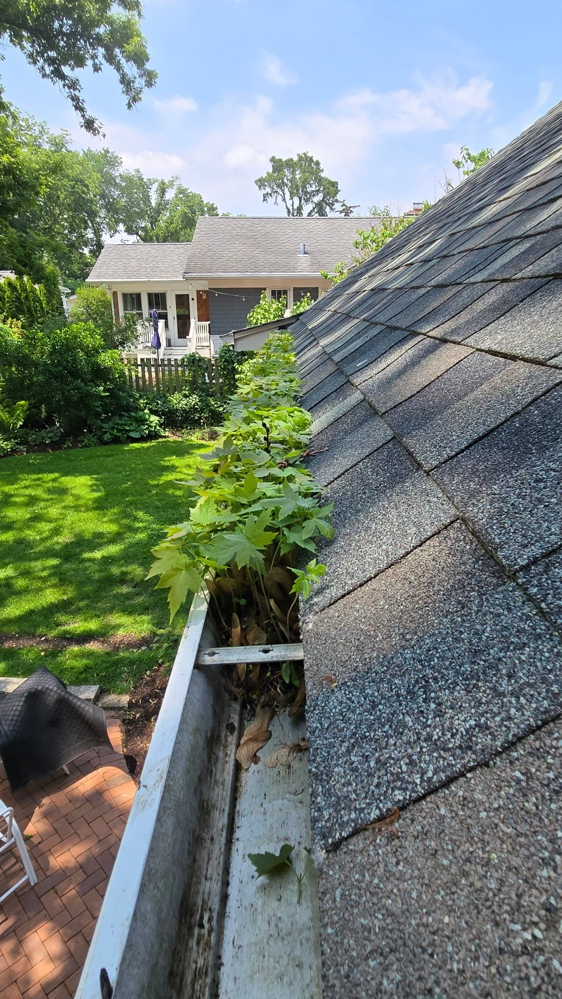 Gutter Cleaning