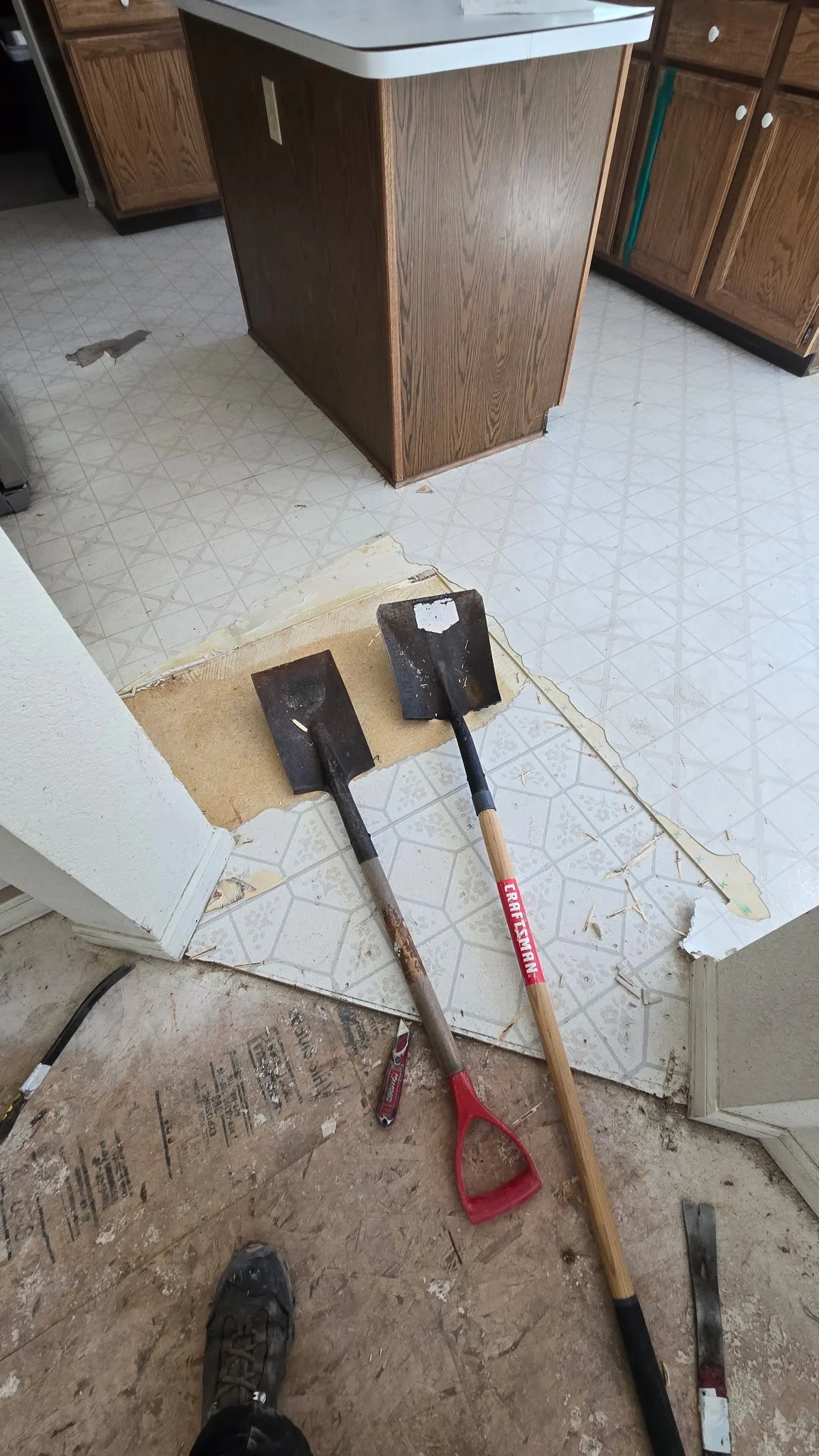 Kitchen floor tear-out underway.