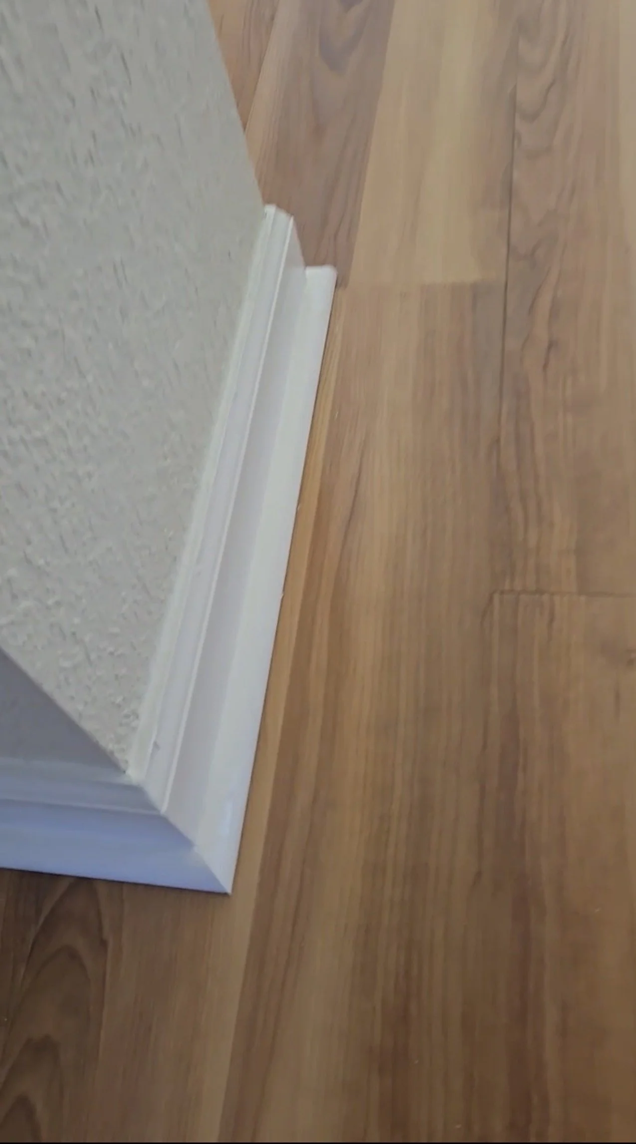 Interior Floor and Trim Renovation- Highlands Ranch, CO