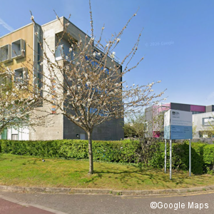 Google maps.png